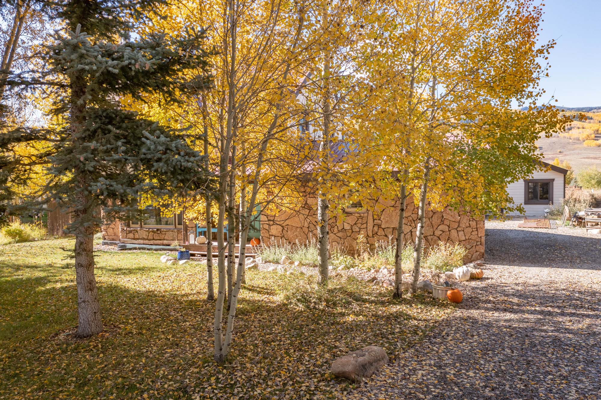 430 Teocalli Road, Crested Butte Colorado - trees