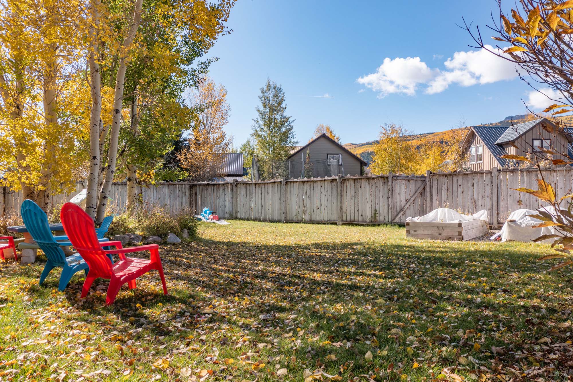 430 Teocalli Road, Crested Butte Colorado - yard