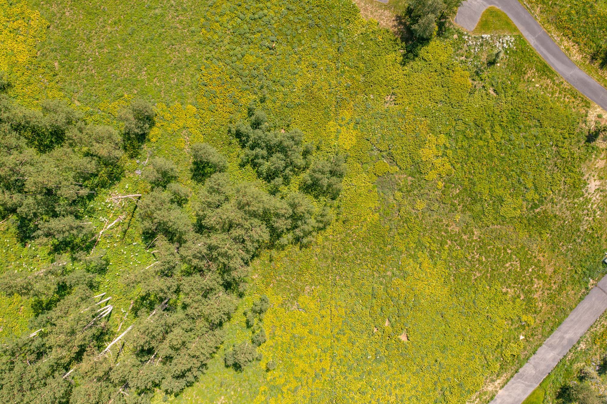 36 Quartz Circle, Crested Butte Colorado - drone close lot view