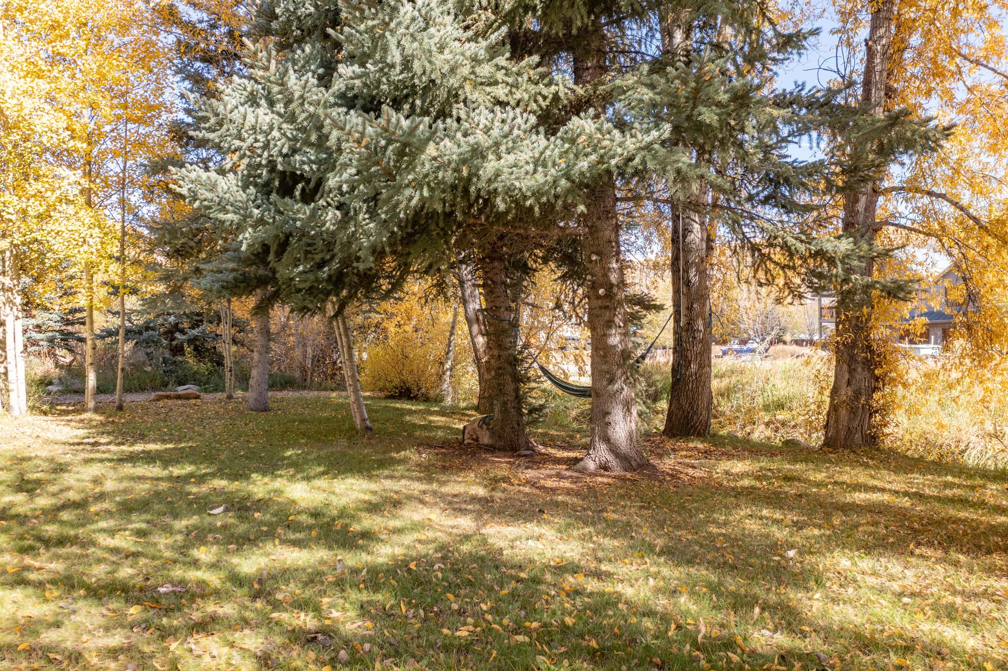 430 Teocalli Road, Crested Butte Colorado - backyard