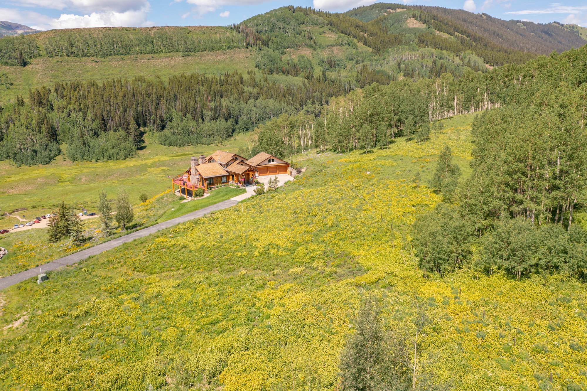 36 Quartz Circle, Crested Butte Colorado - drone neighboring view