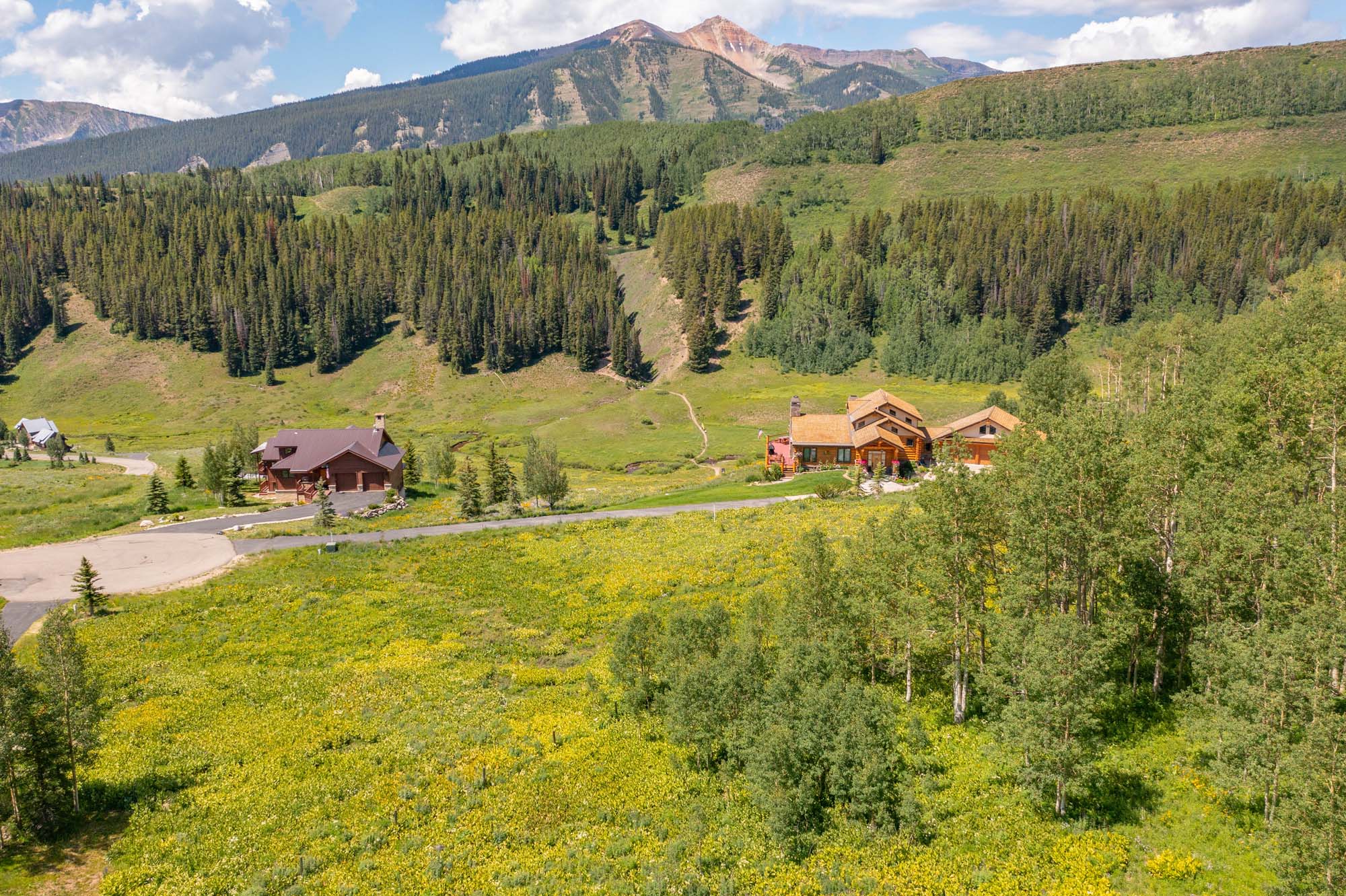 36 Quartz Circle, Crested Butte Colorado - drone neighboring view