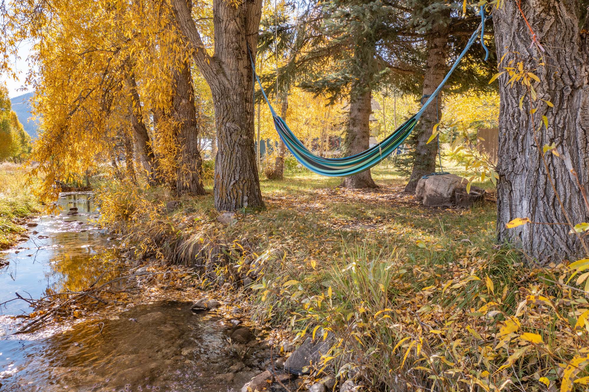 430 Teocalli Road, Crested Butte Colorado - yard