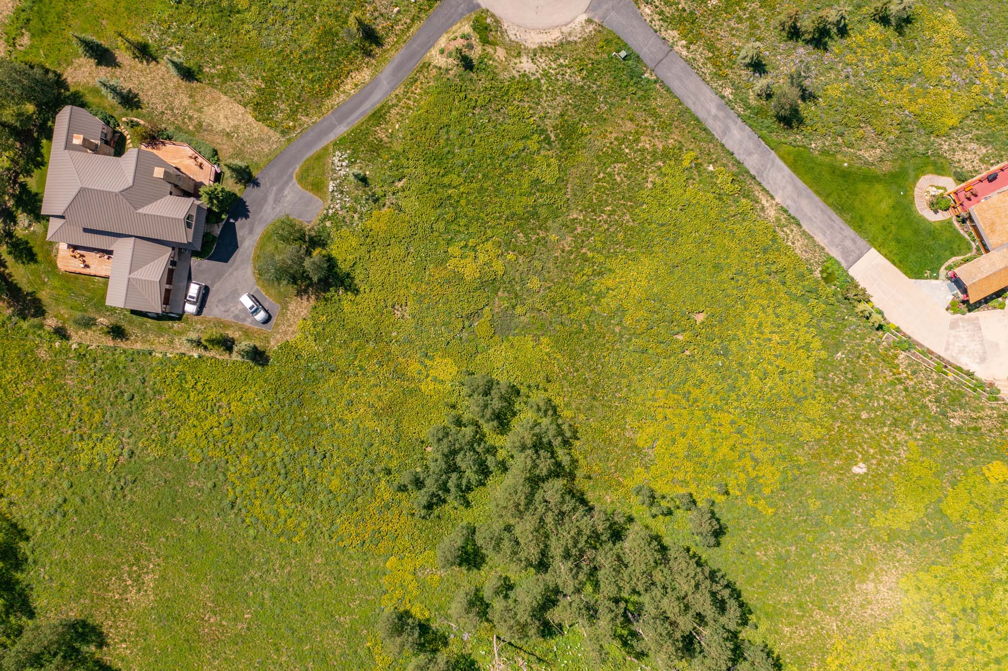 36 Quartz Circle, Crested Butte Colorado -Lot overview