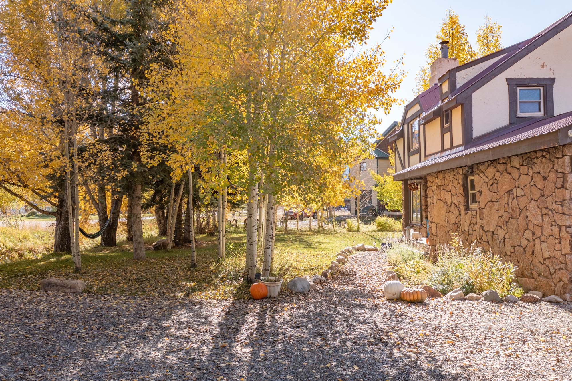 430 Teocalli Road, Crested Butte Colorado - back yard