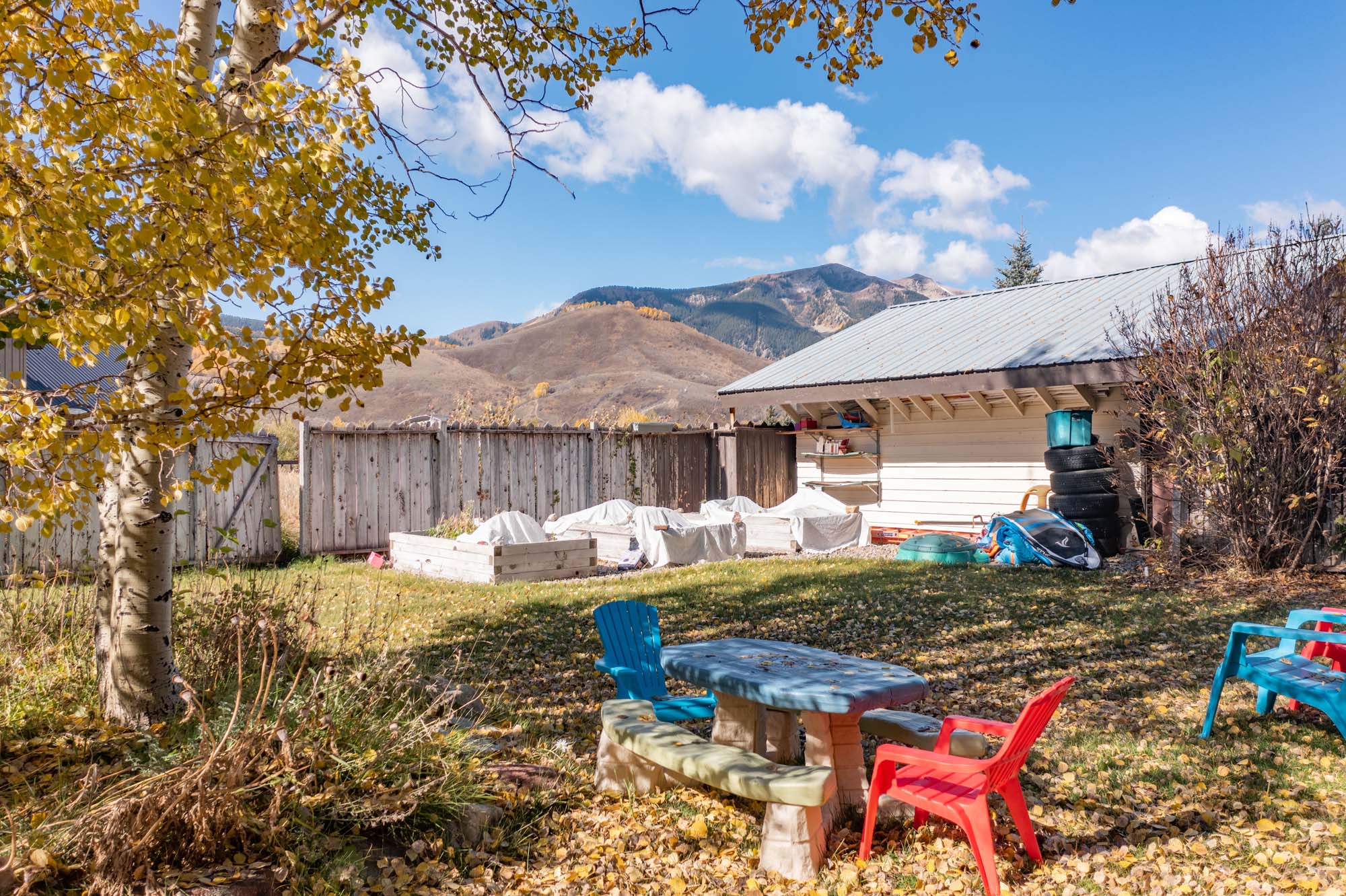 430 Teocalli Road, Crested Butte Colorado - yard