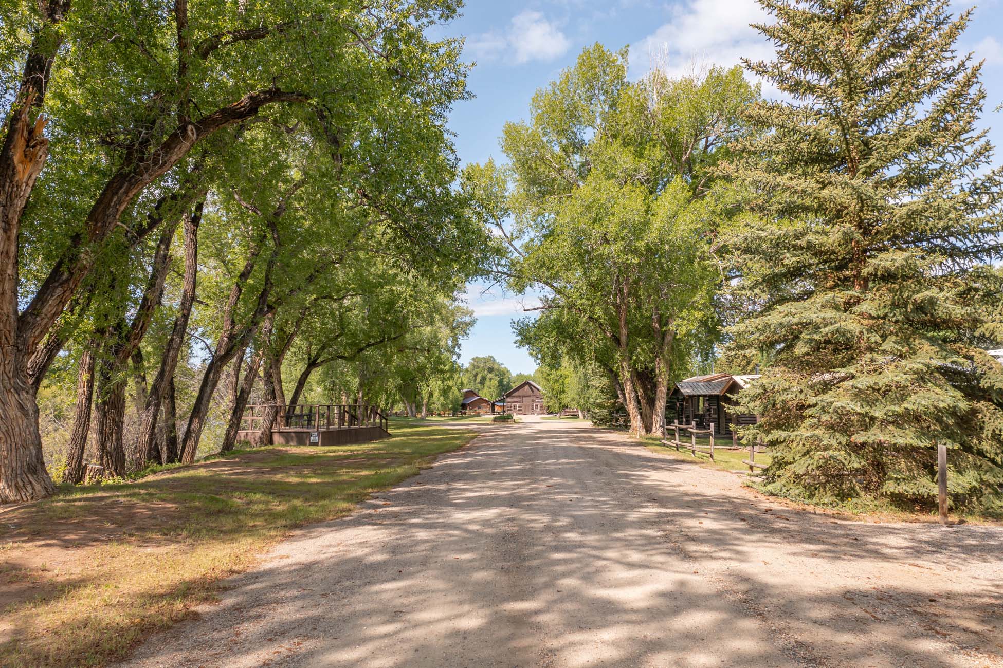 4349 County Road 10 Crested Butte, Colorado - Driveway