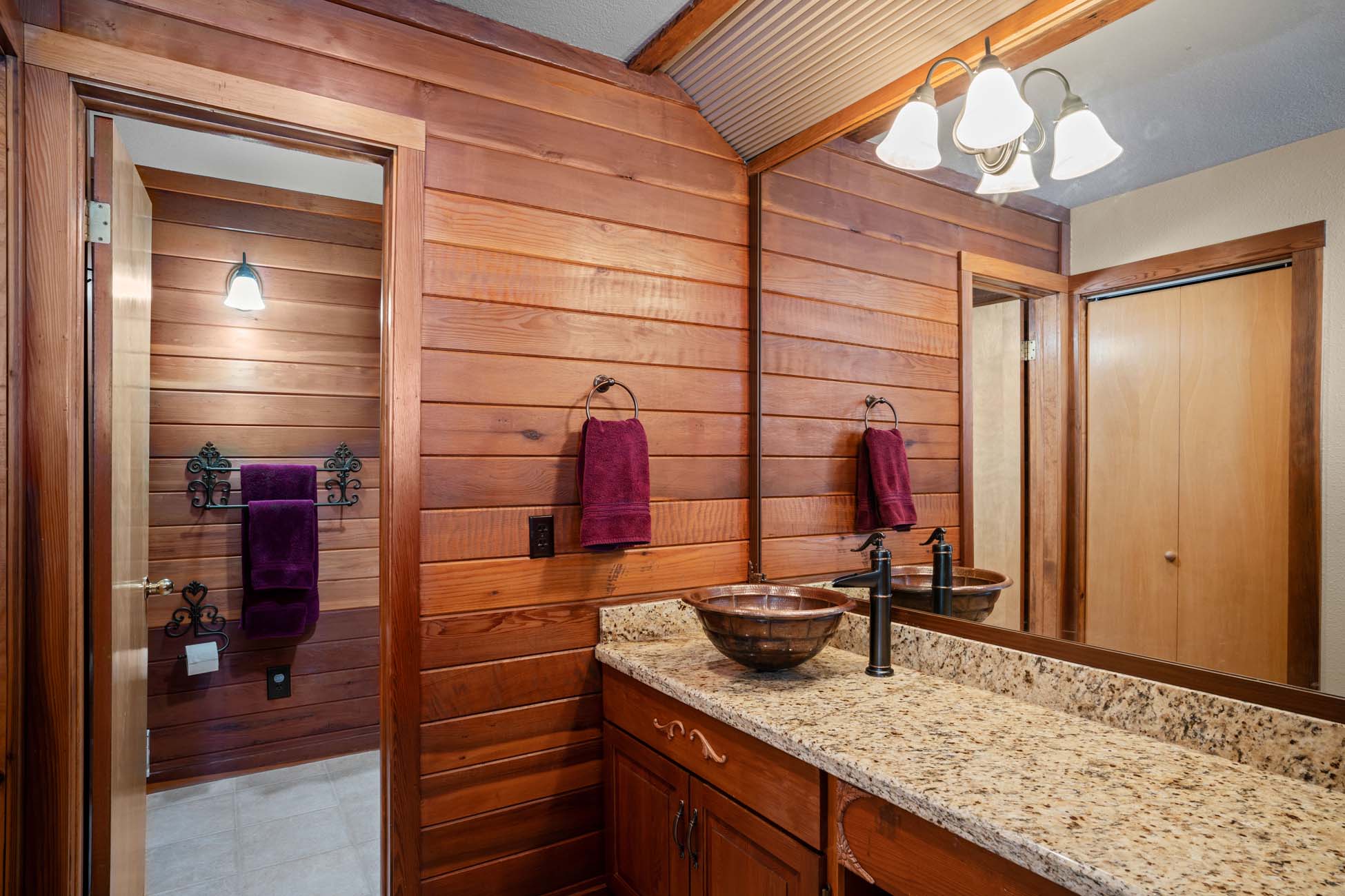 49 Powderview Drive, Crested Butte Colorado -bathroom