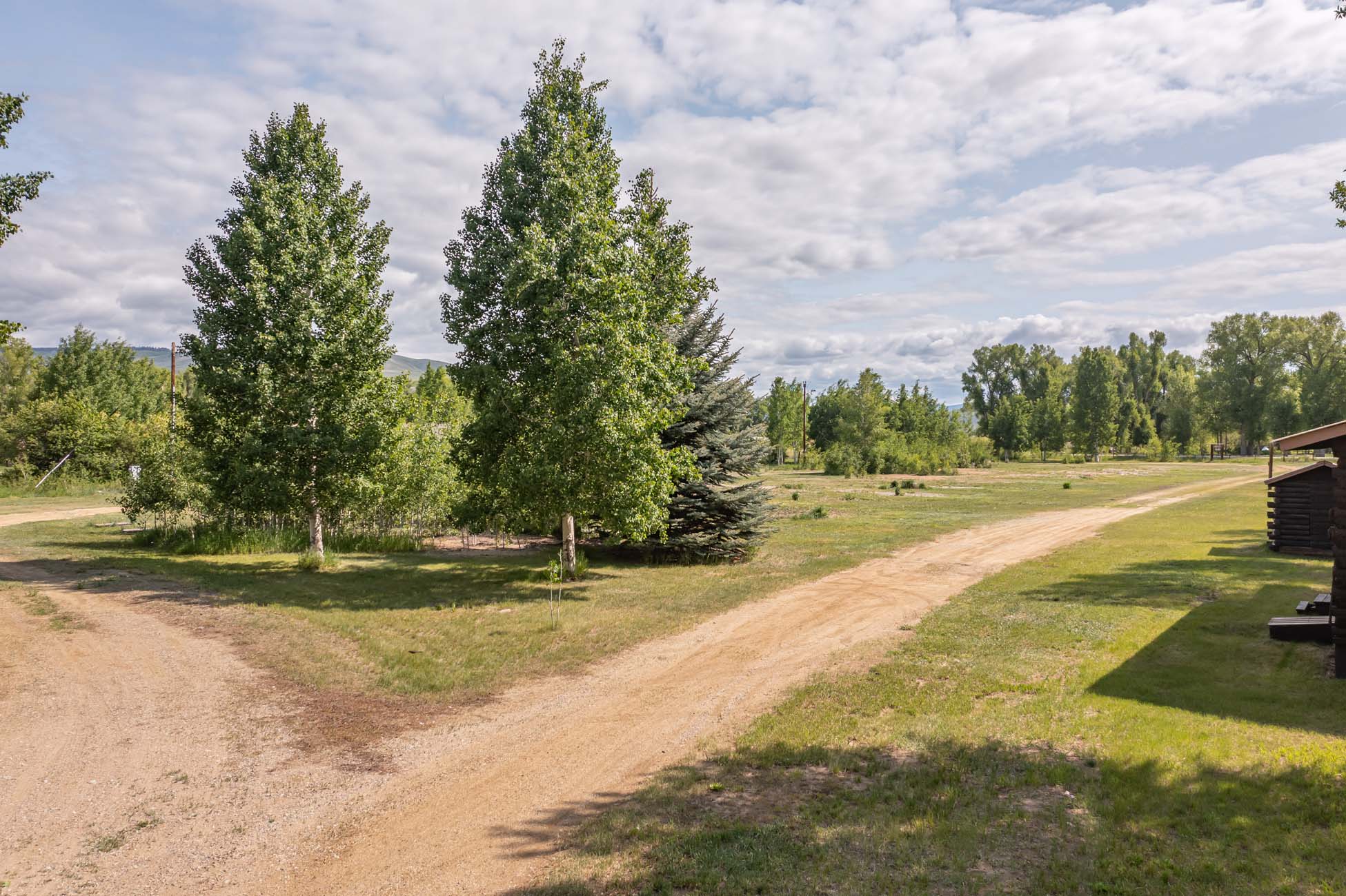 4349 County Road 10 Crested Butte, Colorado - Cabins_yard