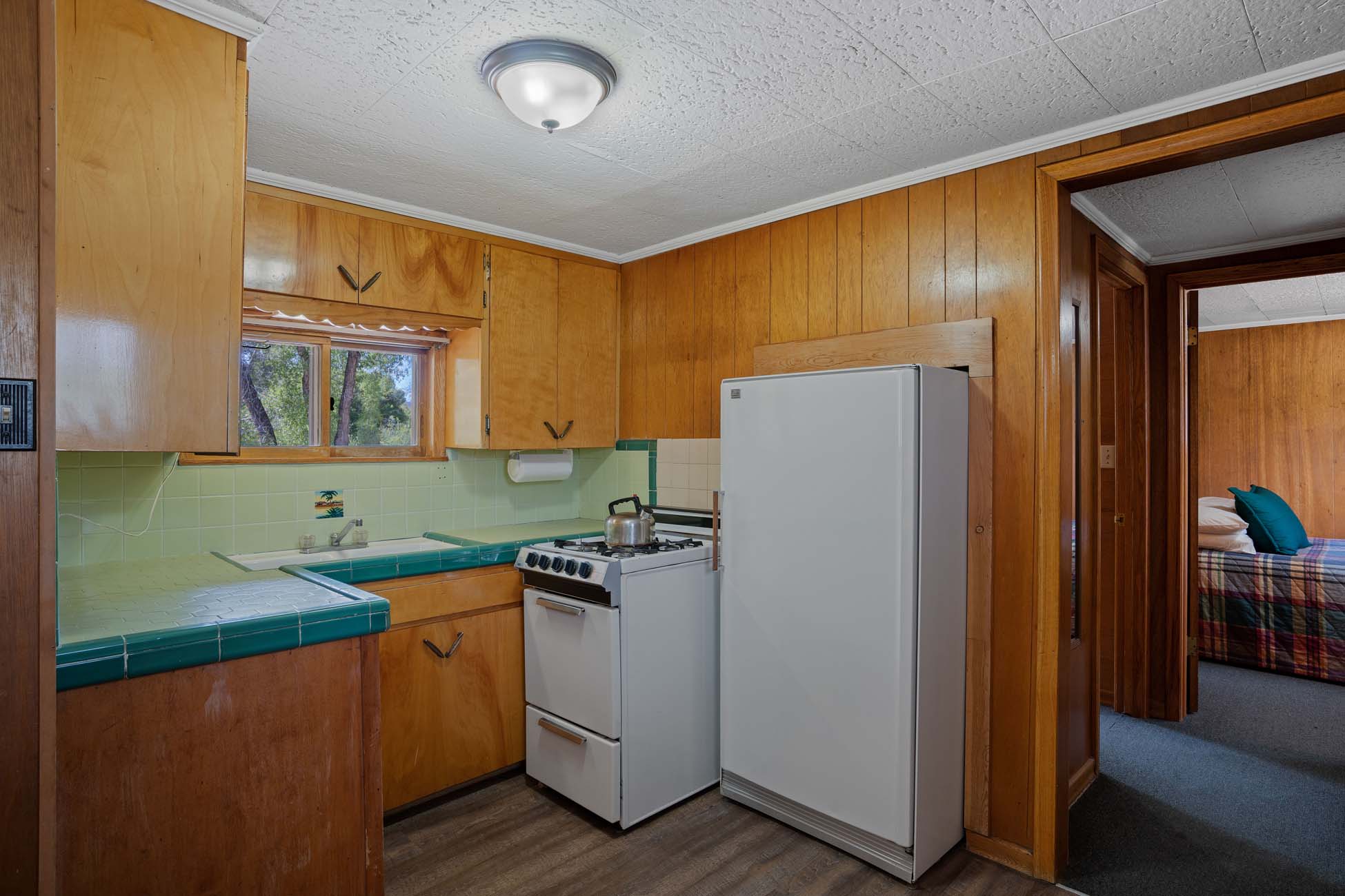 4349 County Road 10 Crested Butte, Colorado - Kitchen