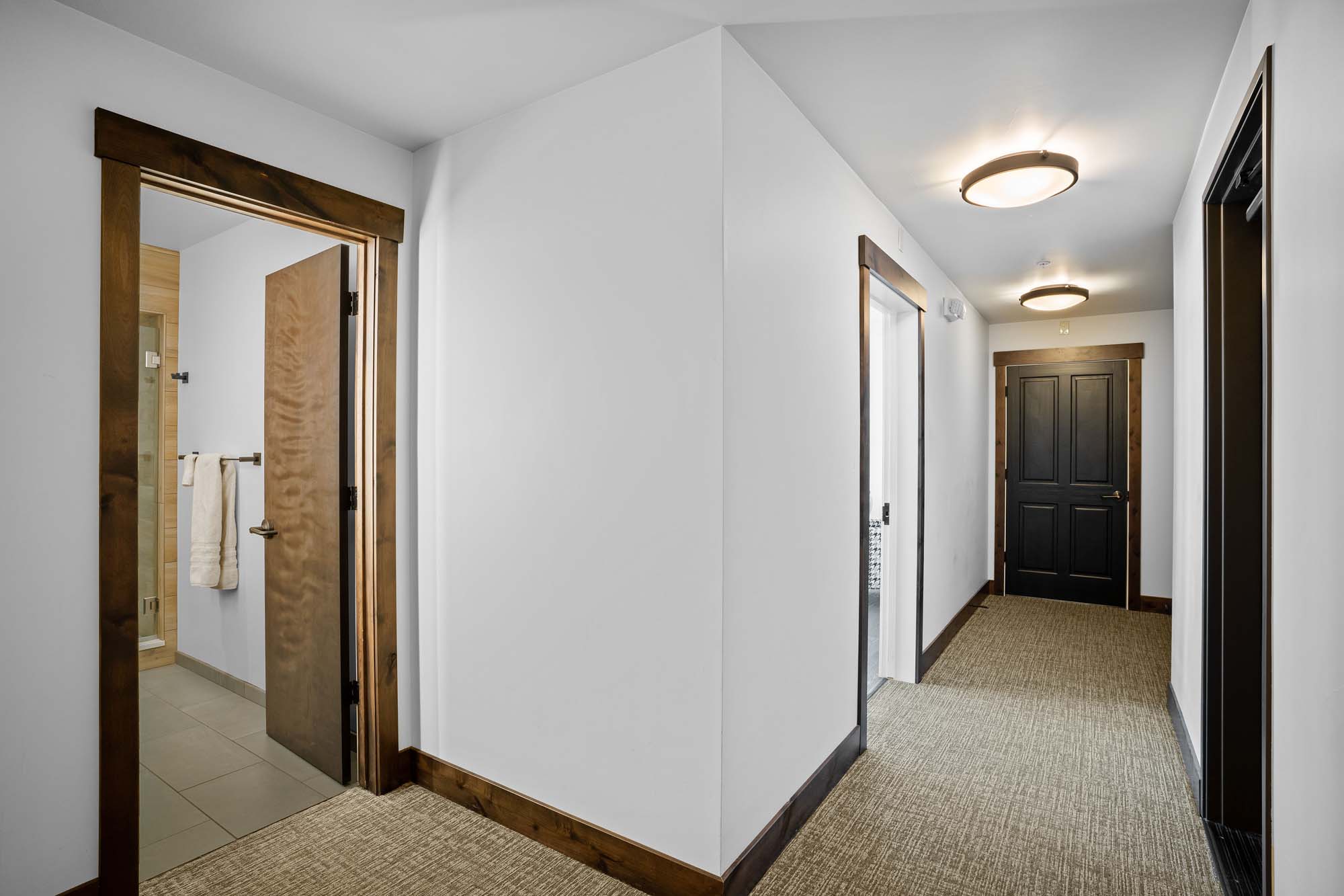 123 Elk Avenue, Crested Butte Colorado - Hallway