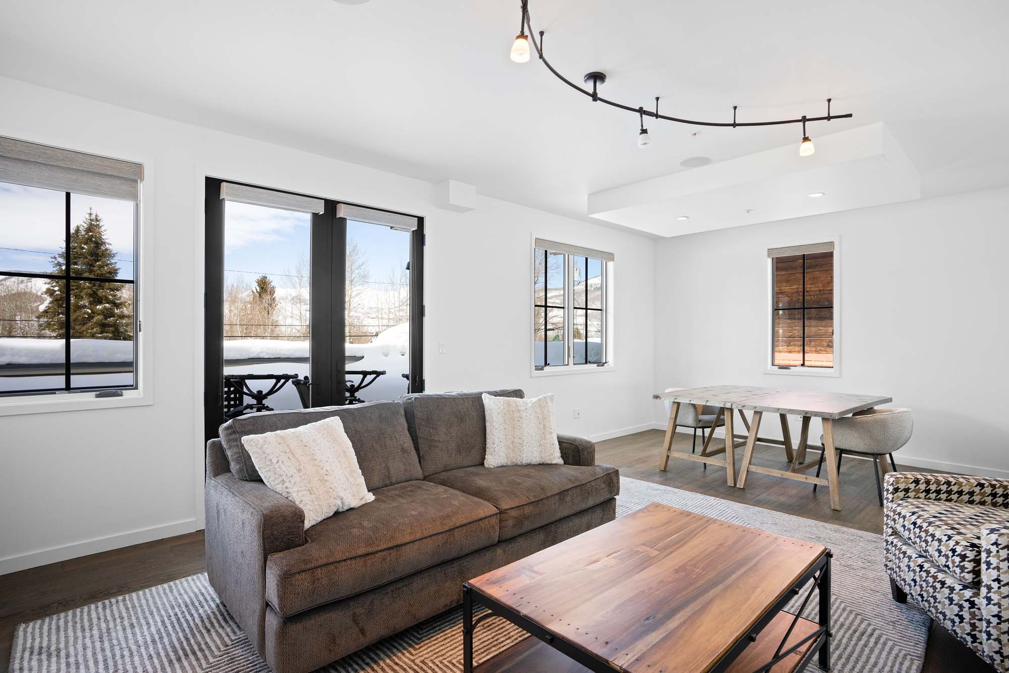 123 Elk Avenue, Crested Butte Colorado - Living room