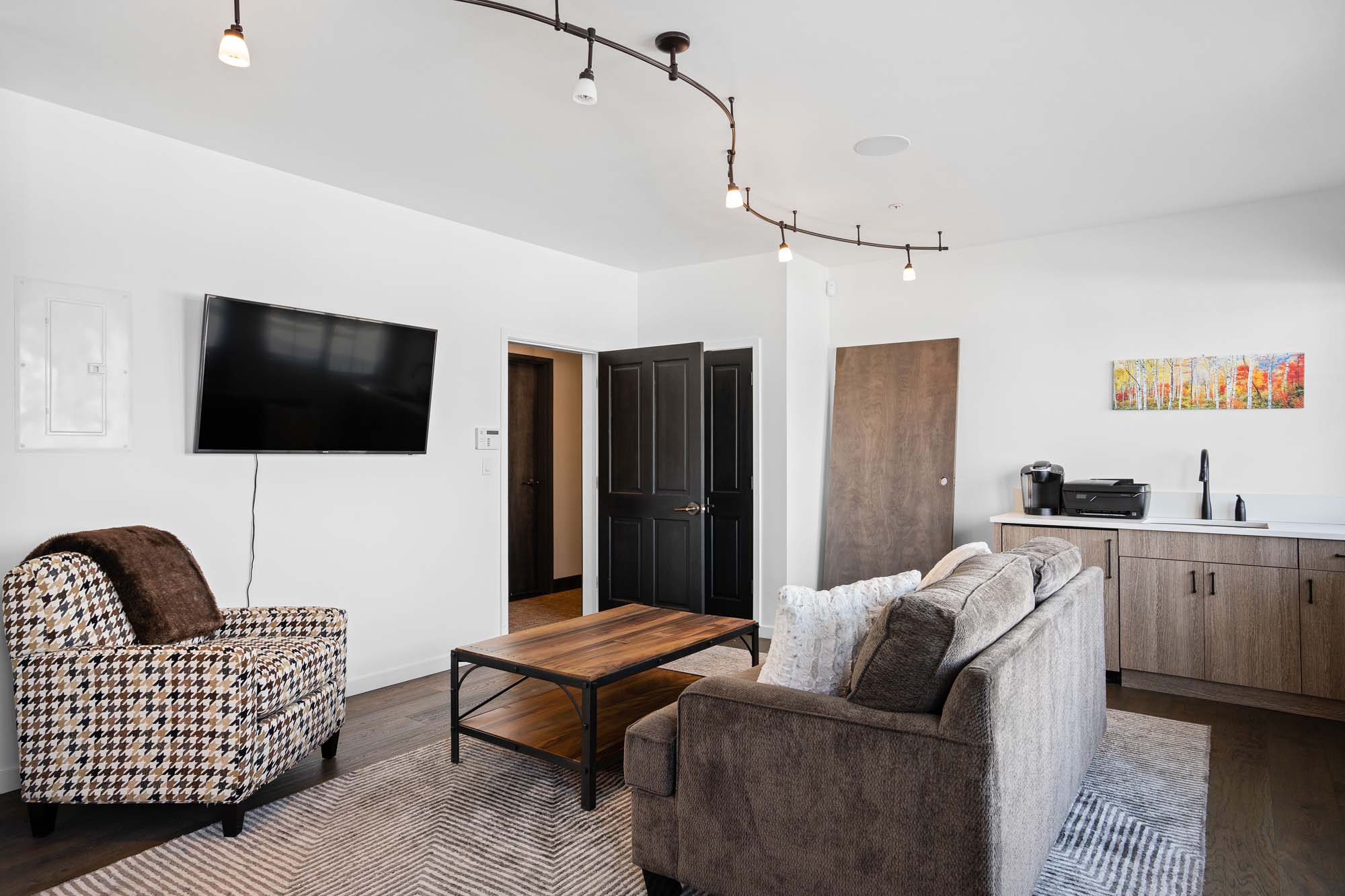 123 Elk Avenue, Crested Butte Colorado - Living room