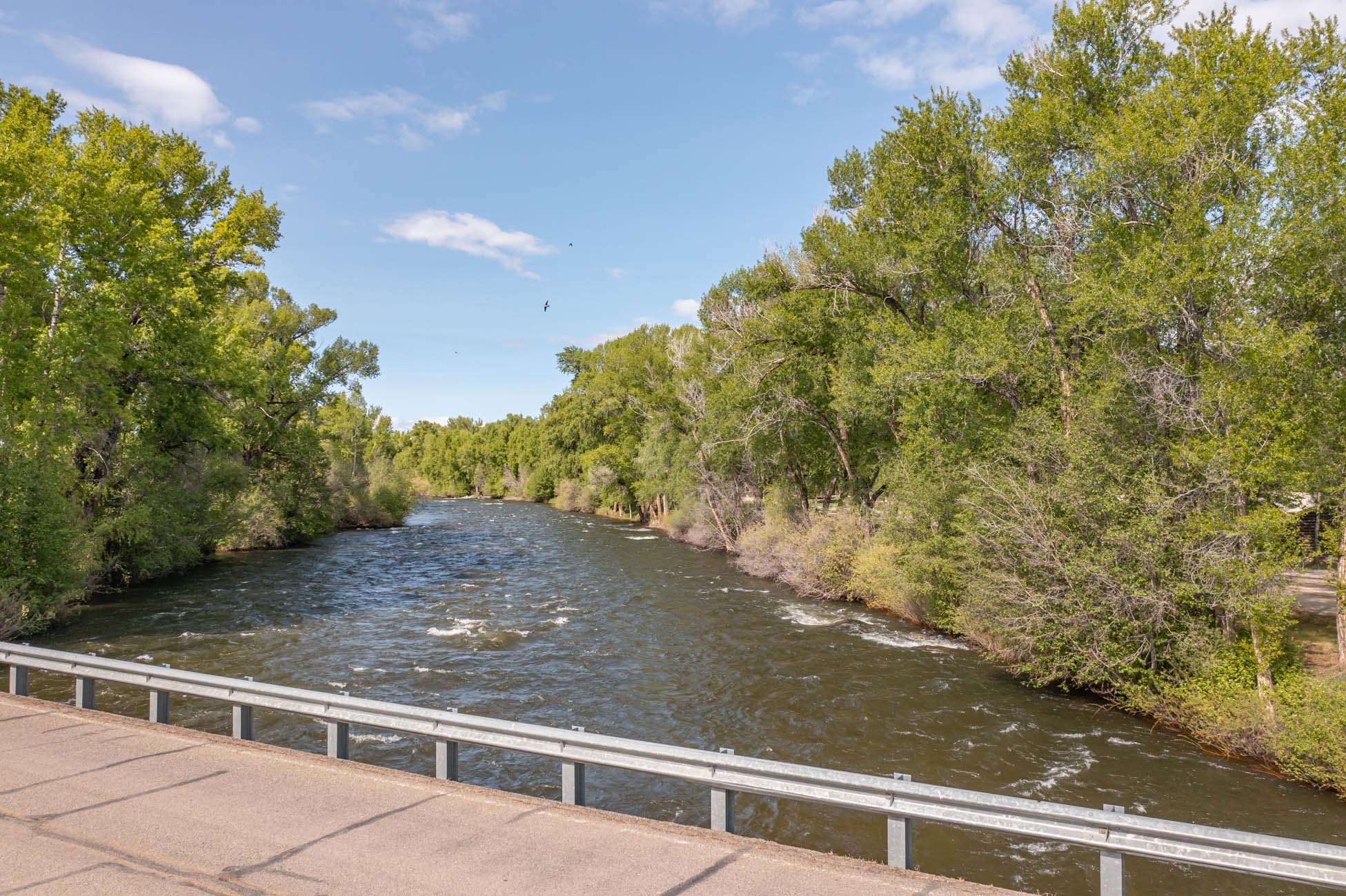 4349 County Road 10 Crested Butte, Colorado - River view