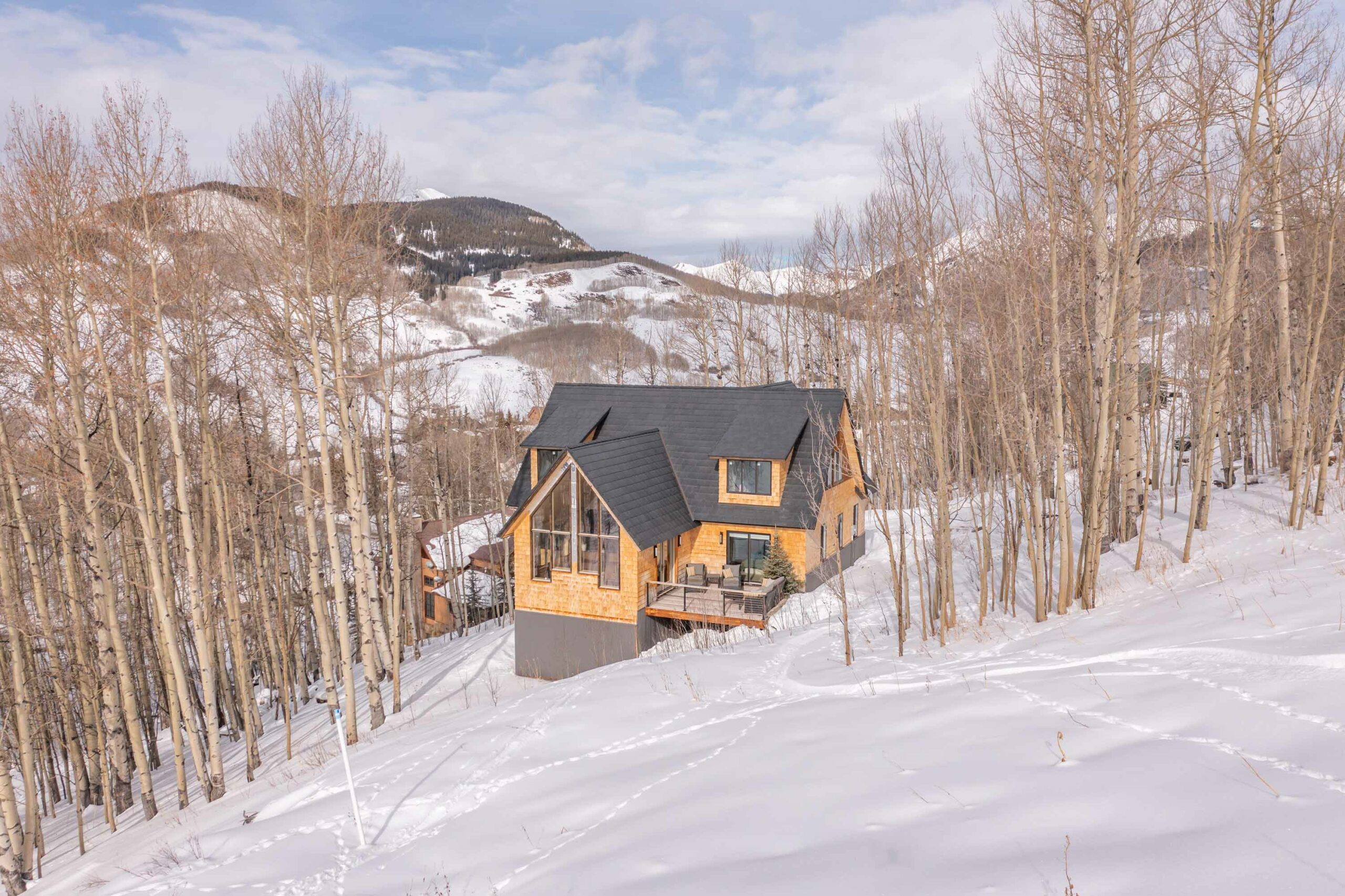 42 Ruby Drive Mt. Crested Butte, Colorado - back of property skier access