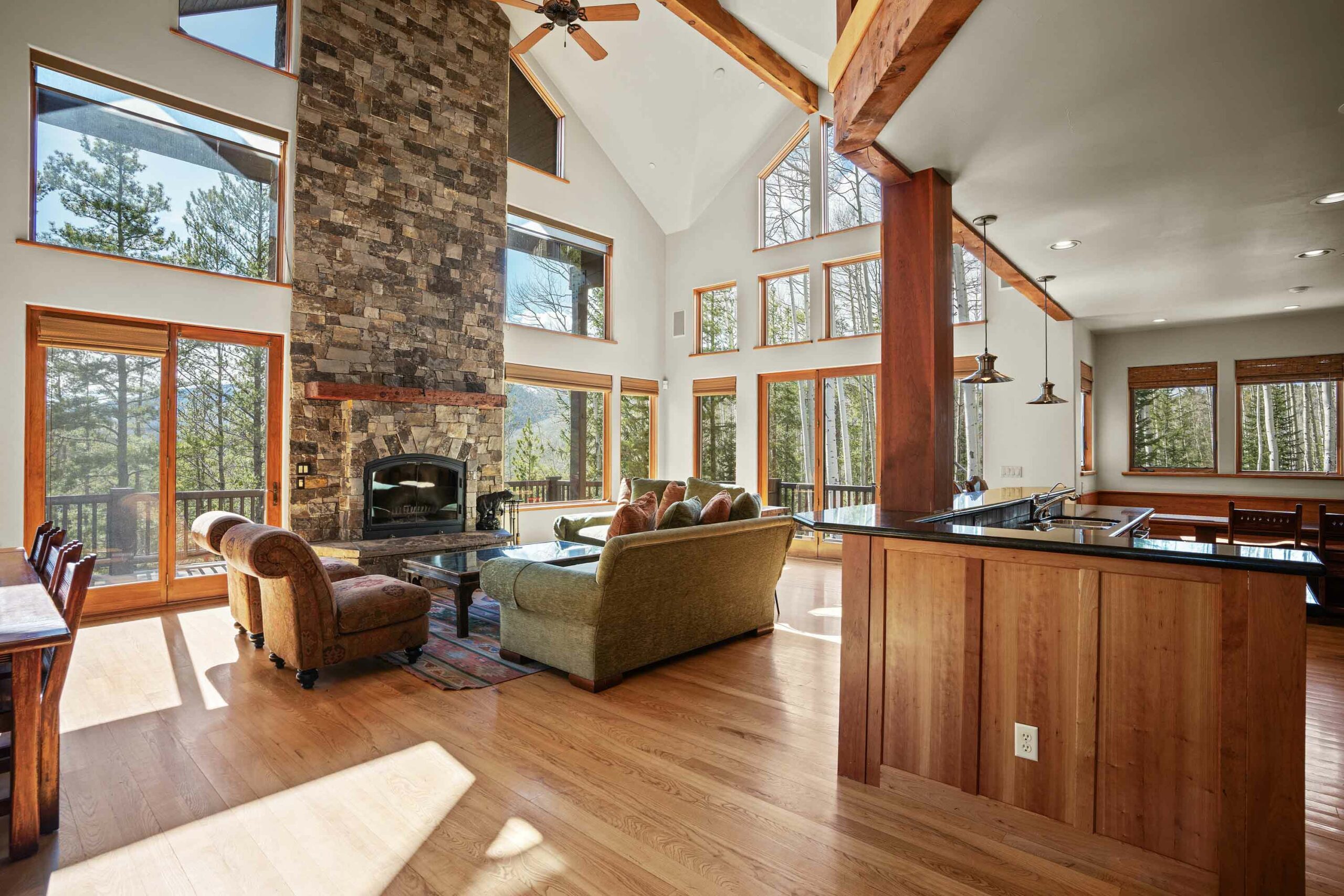 2074 Wildcat Trail Crested Butte, Colorado - living room