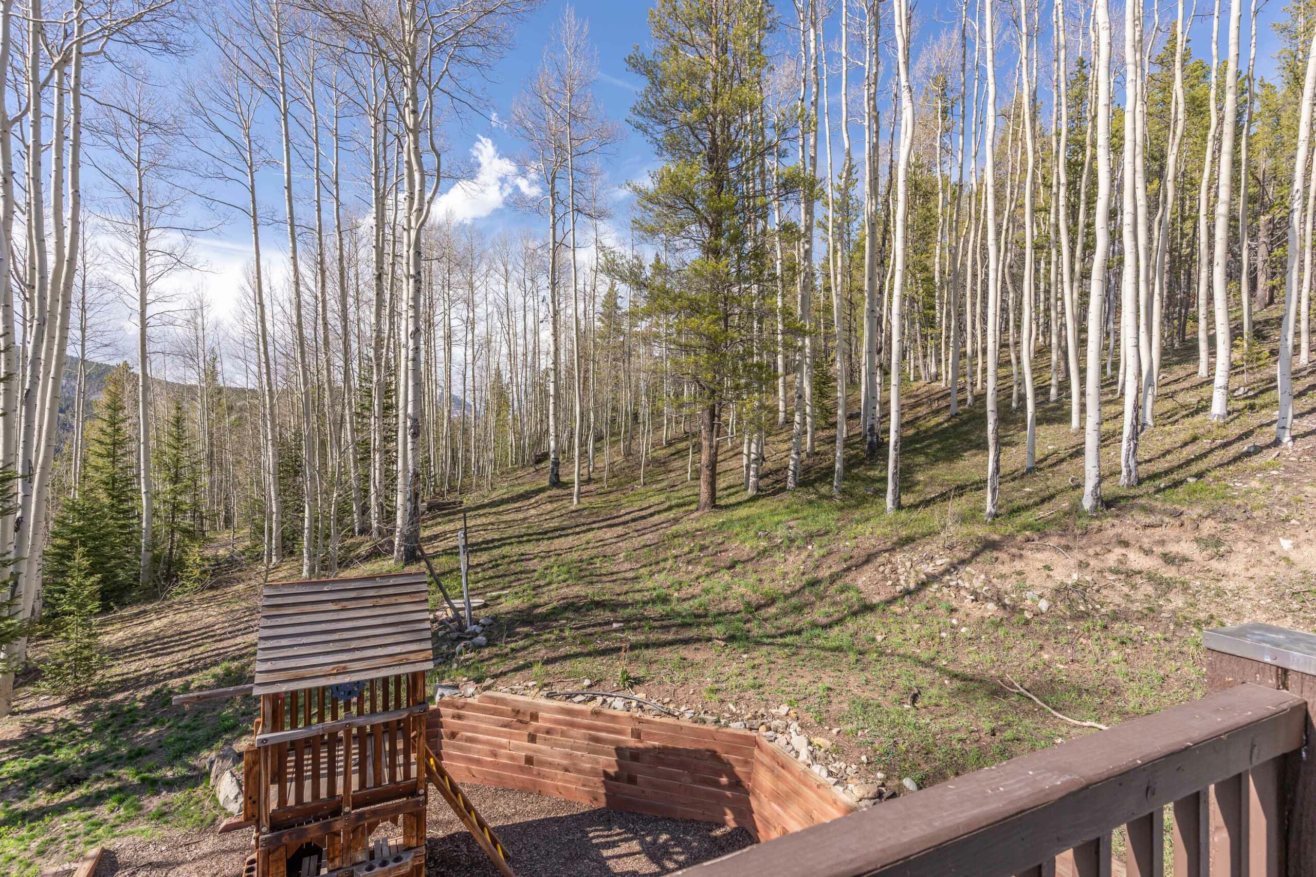 2074 Wildcat Trail Crested Butte, Colorado - view from deck