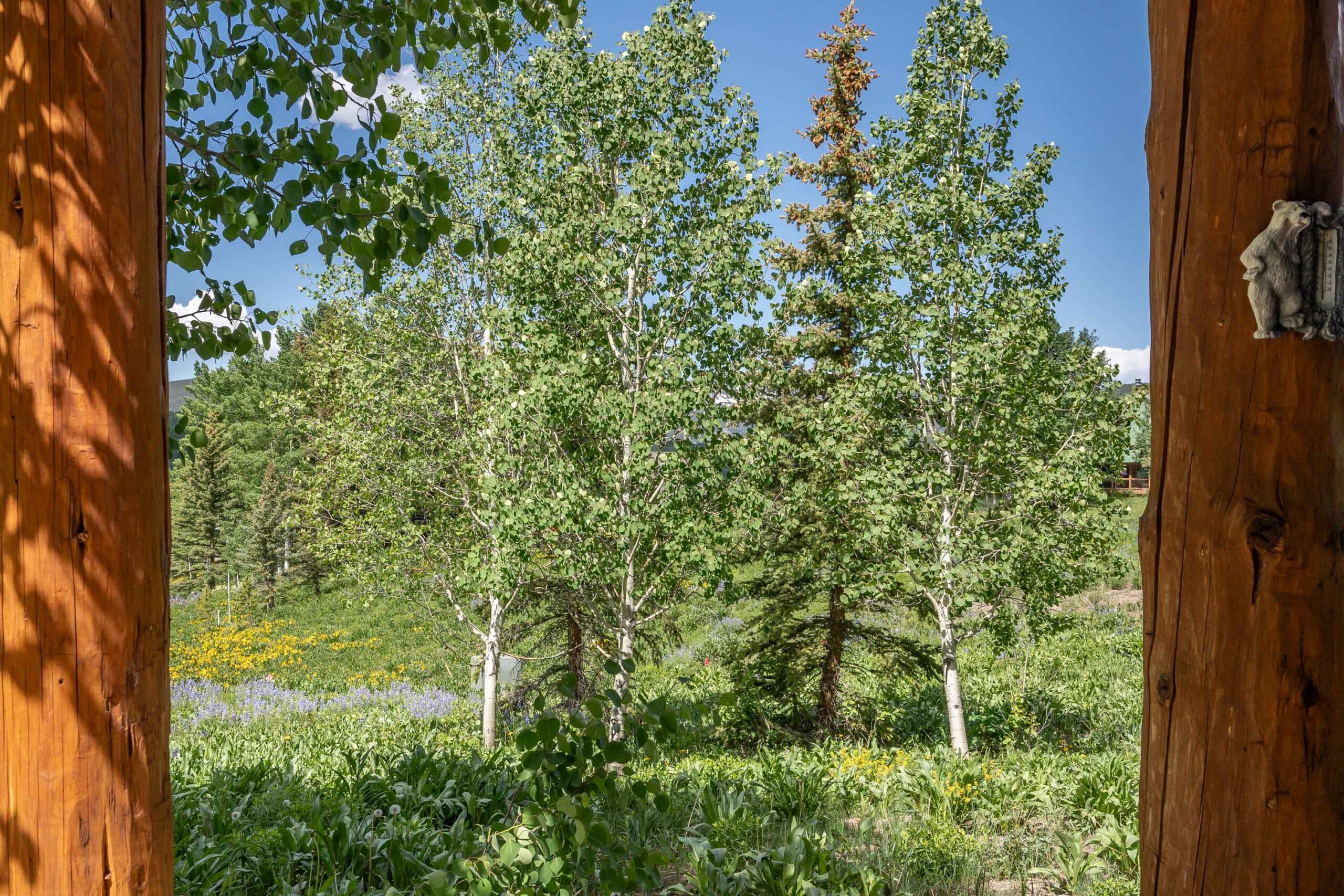 18 Ruby Drive Mt. Crested Butte, Colorado - Patio view