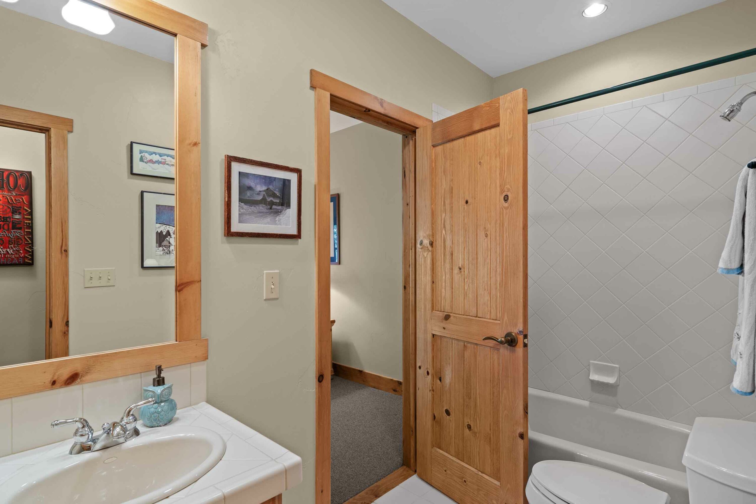 18 Ruby Drive Mt. Crested Butte, Colorado - Bathroom