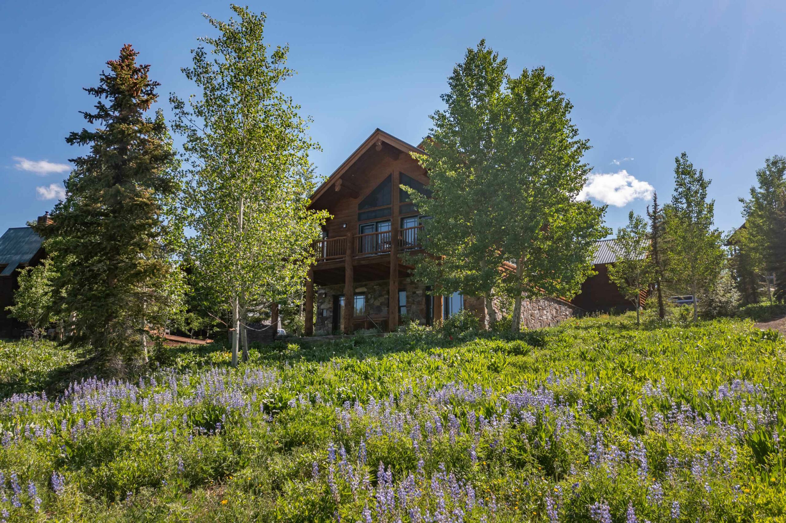 18 Ruby Drive Mt. Crested Butte, Colorado - Back of the house