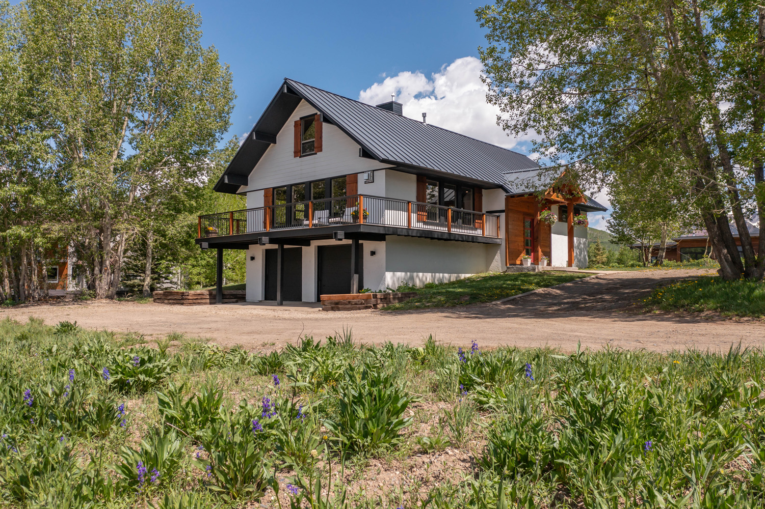 29 Belleview Drive Mt. Crested Butte, Colorado - drone view