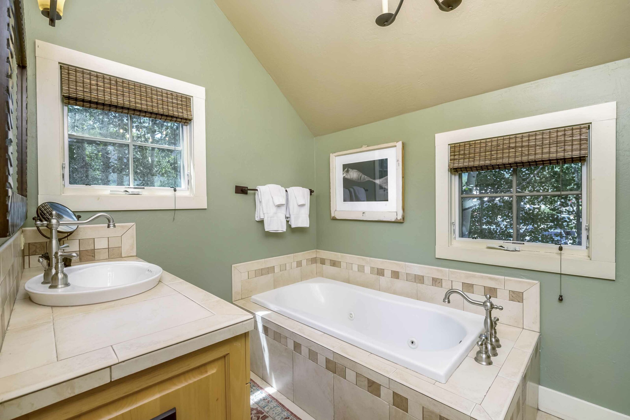 620 Maroon Avenue, Crested Butte, CO - Bathroom