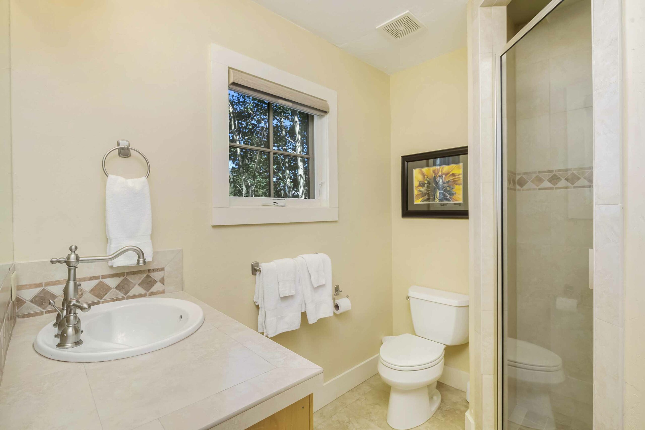 620 Maroon Avenue, Crested Butte, CO - Bathroom