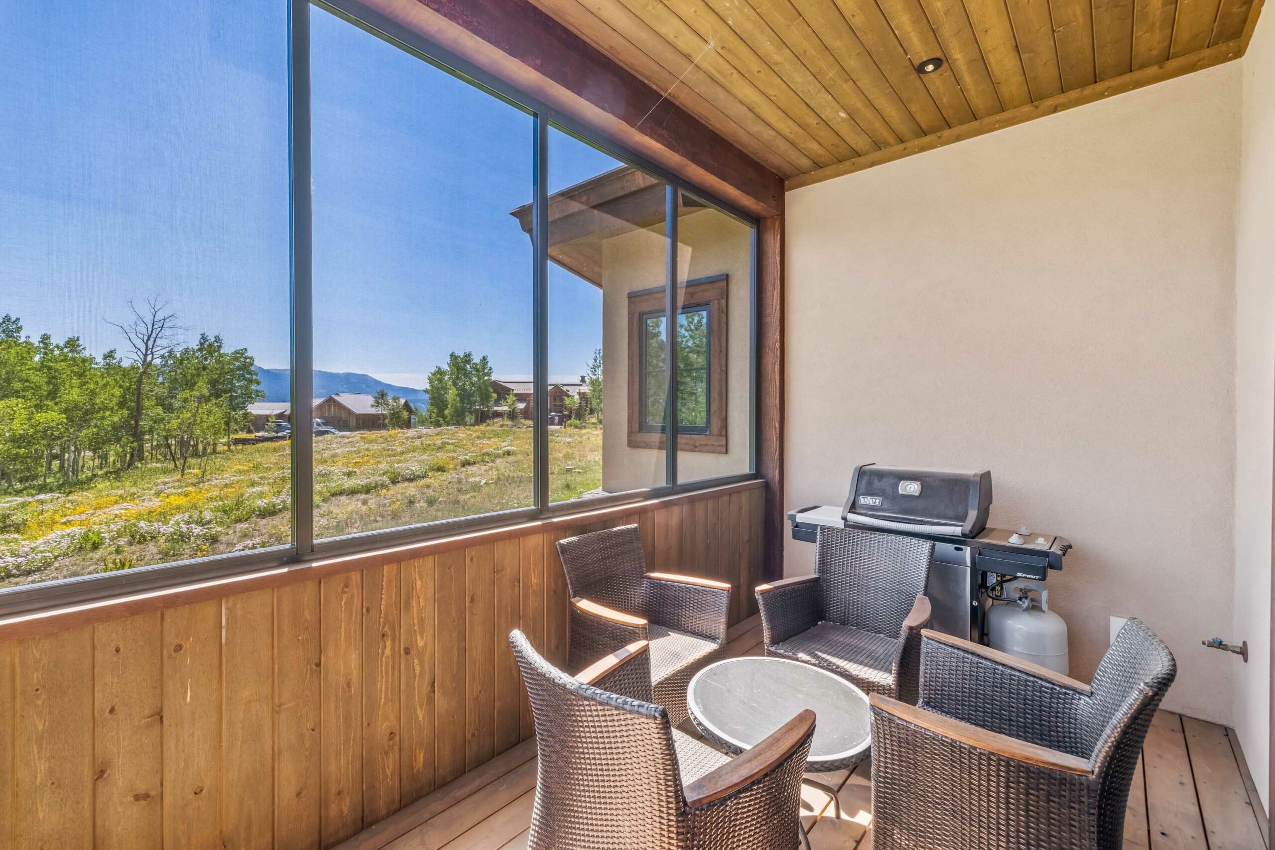 105 Bear Scratch Lane Mt. Crested Butte, CO - Screened Porch