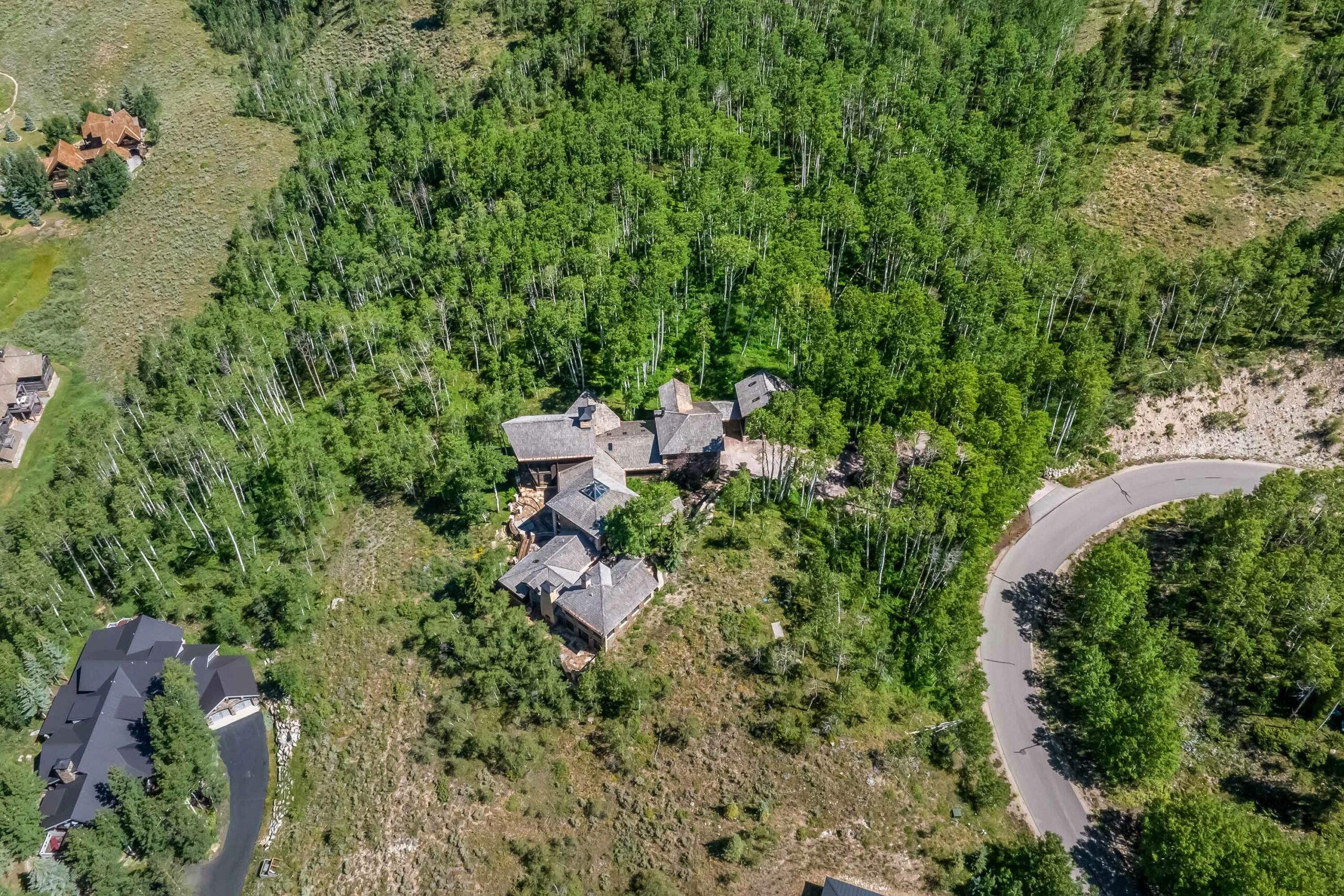 303 Forest Lane Crested Butte, CO - Drone View