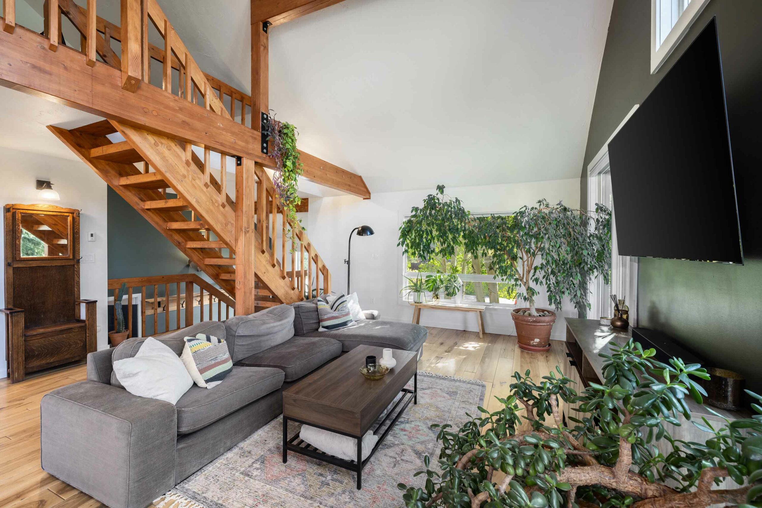 41 Goren Street Crested Butte, CO - Living Room