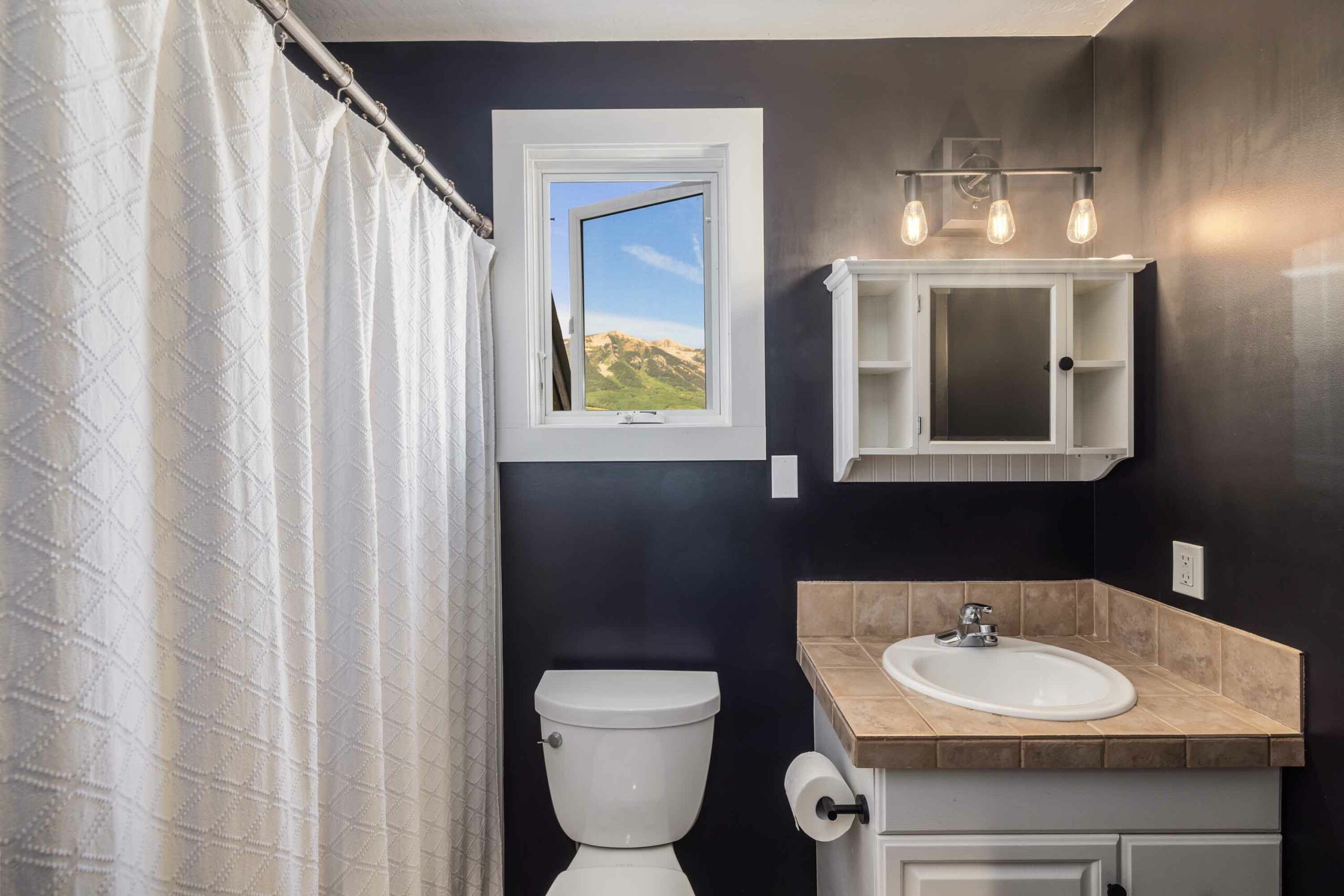 41 Goren Street Crested Butte, CO - Bathroom