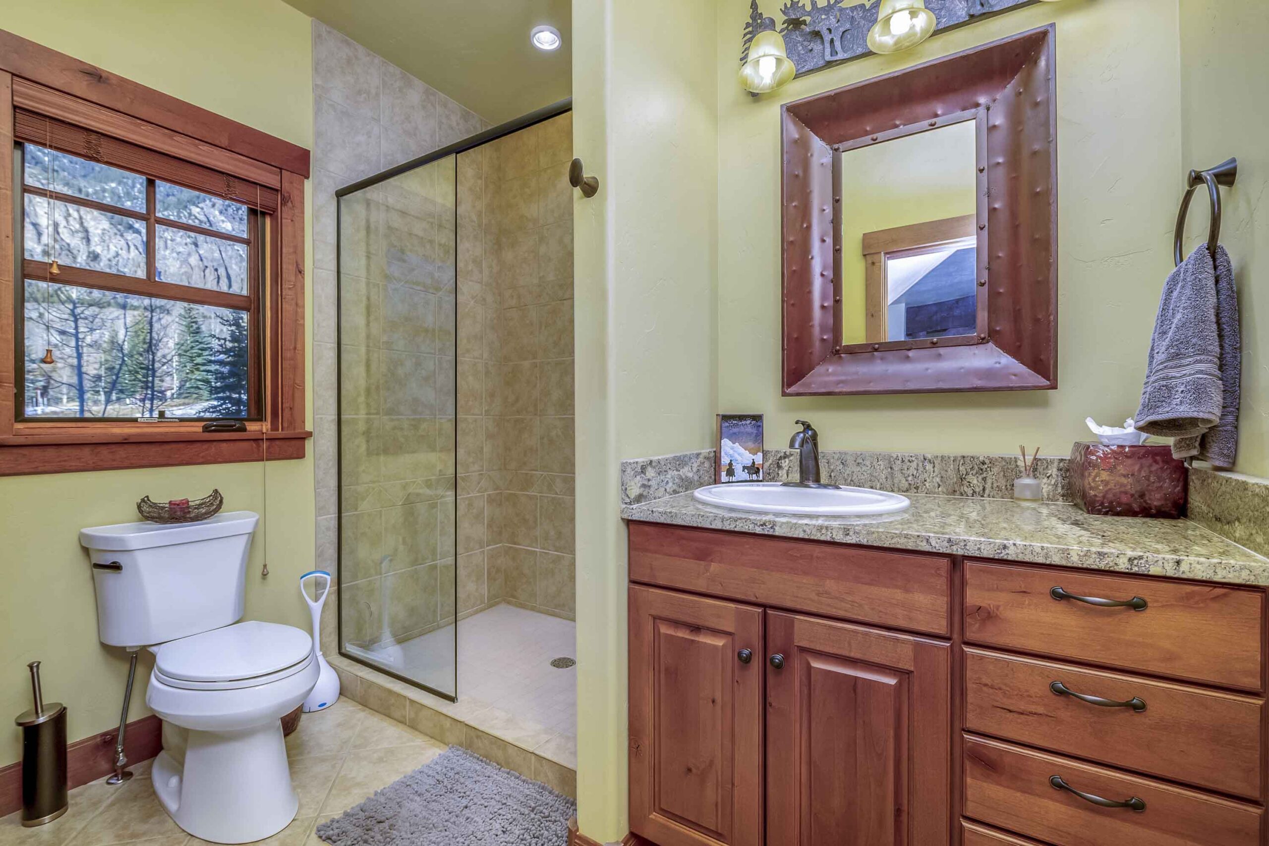 81 Par Lane Crested Butte, CO - Bathroom