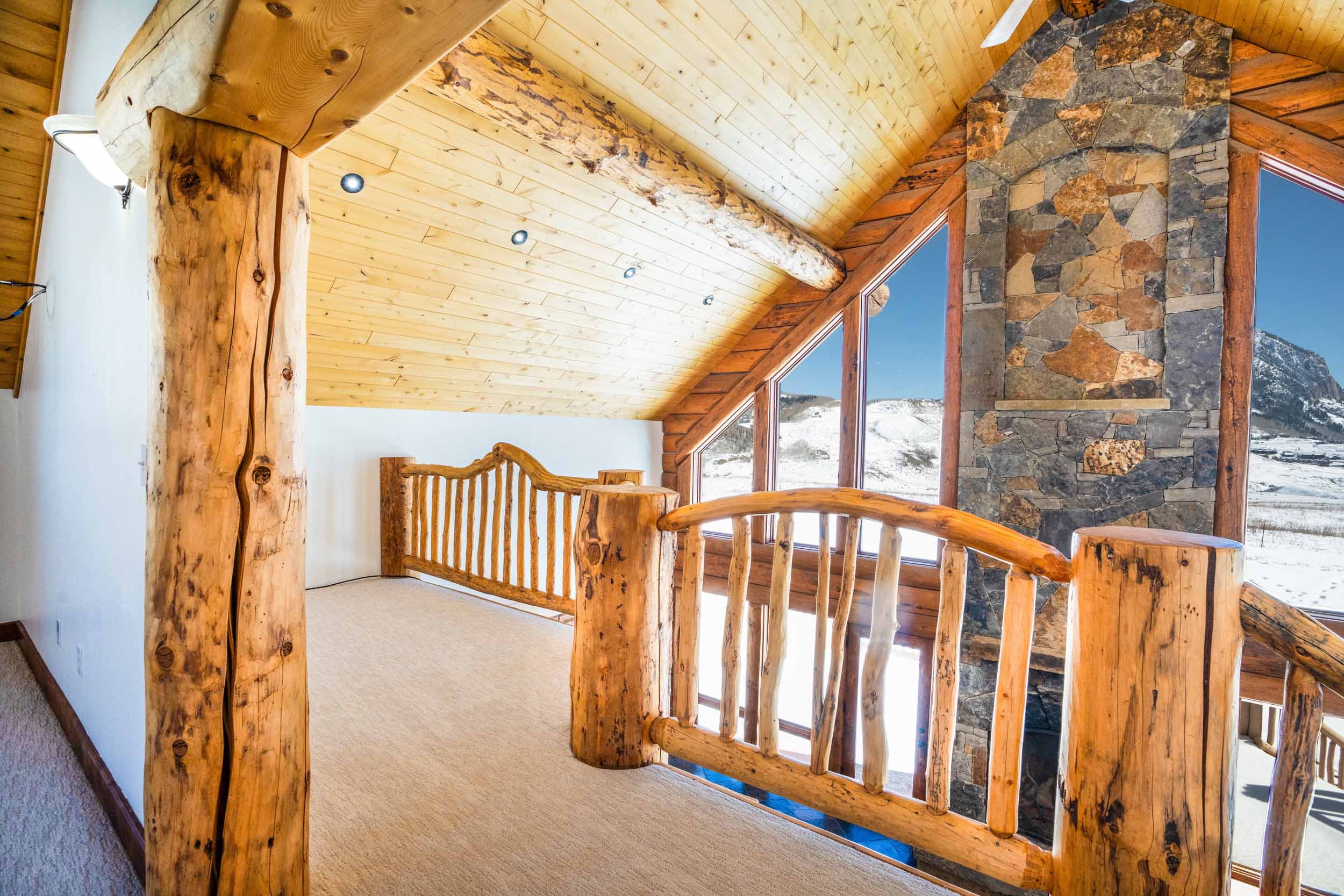 1010 Washington Gulch Road Crested Butte, CO - Loft