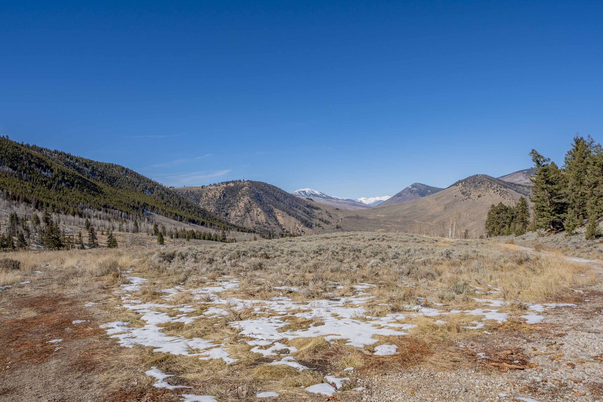 1220 Wilder Mountain Road, Almont, CO - Land View_