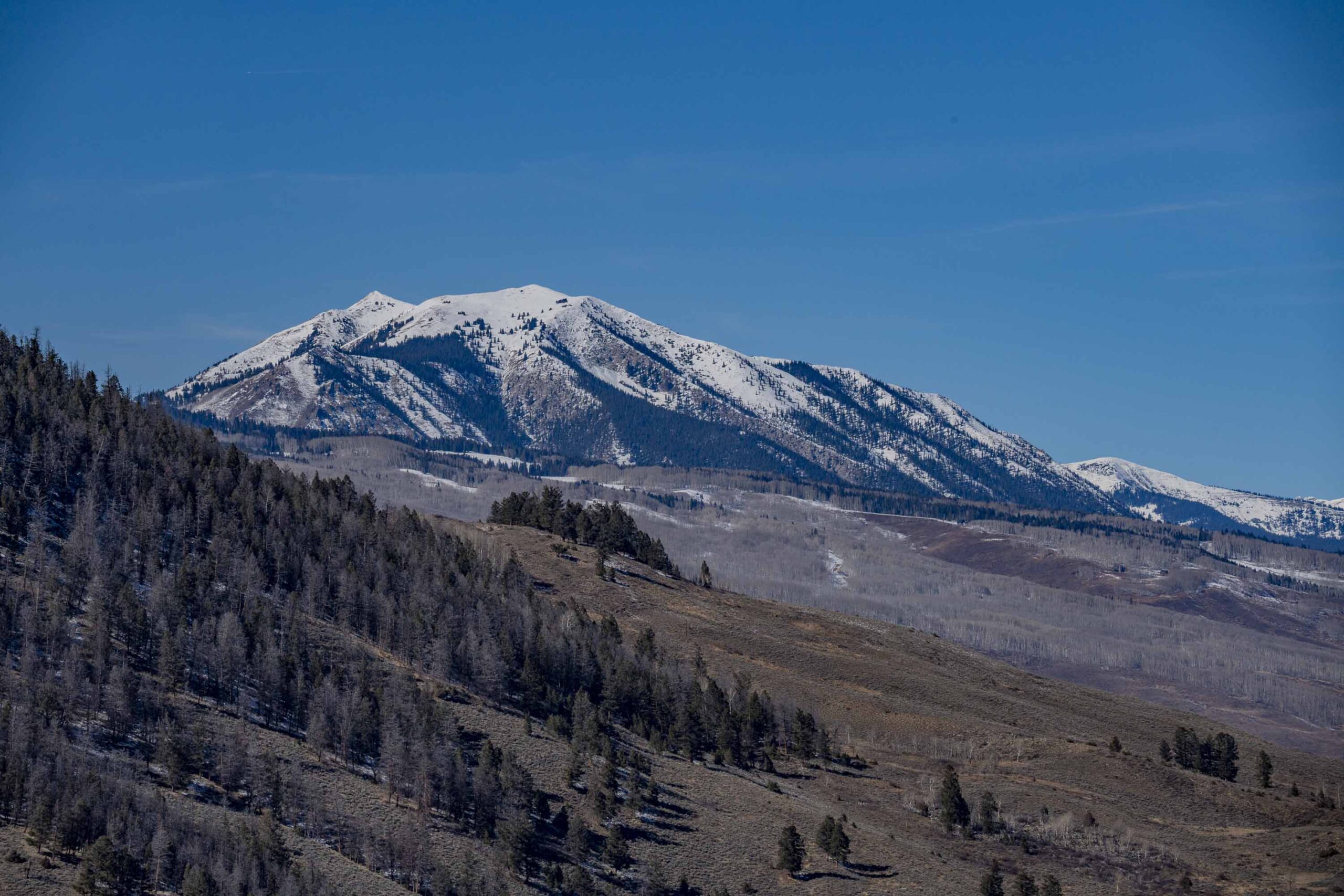 1220 Wilder Mountain Road, Almont, CO.jpg - Mountain View