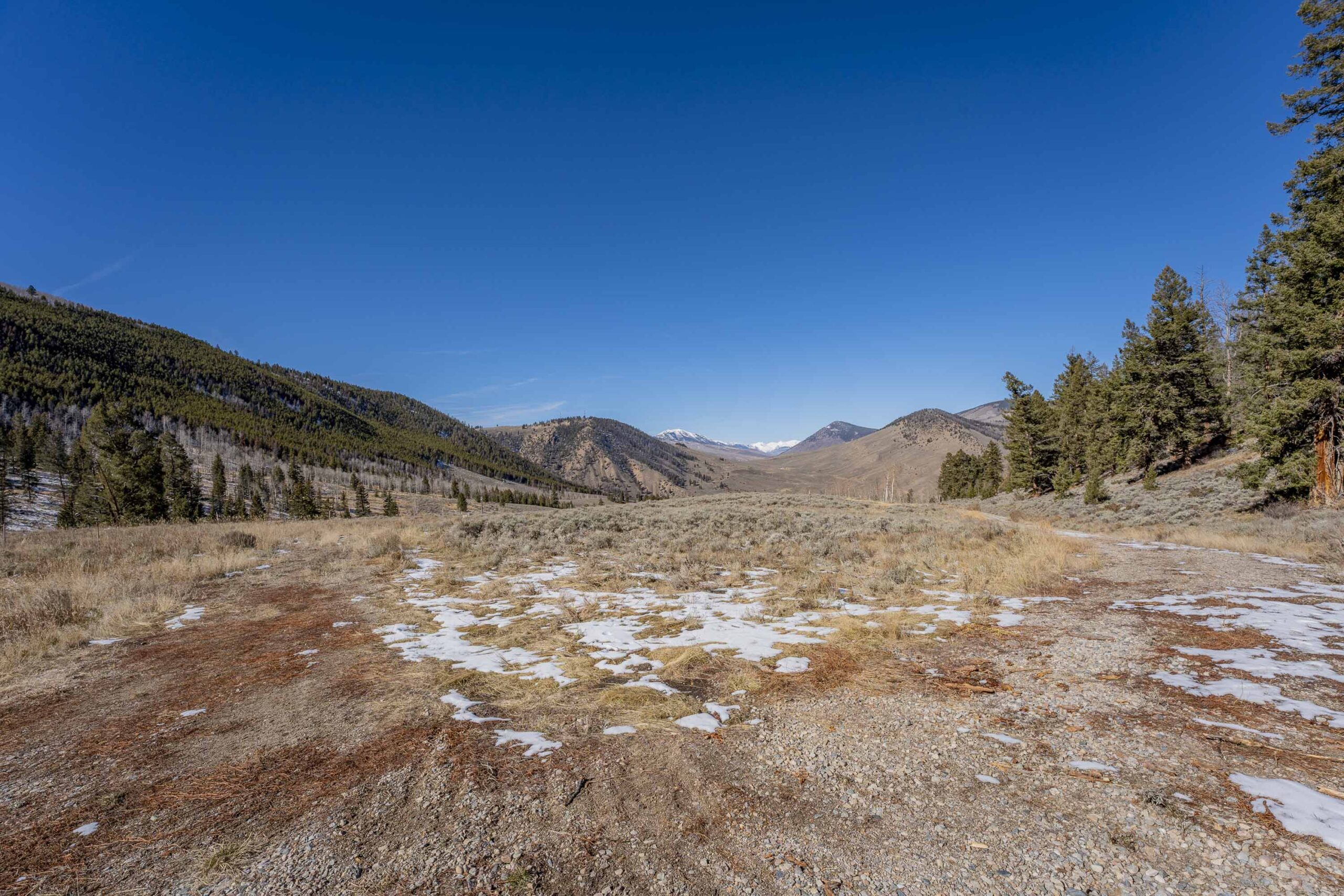 1220 Wilder Mountain Road, Almont, CO - Land View _