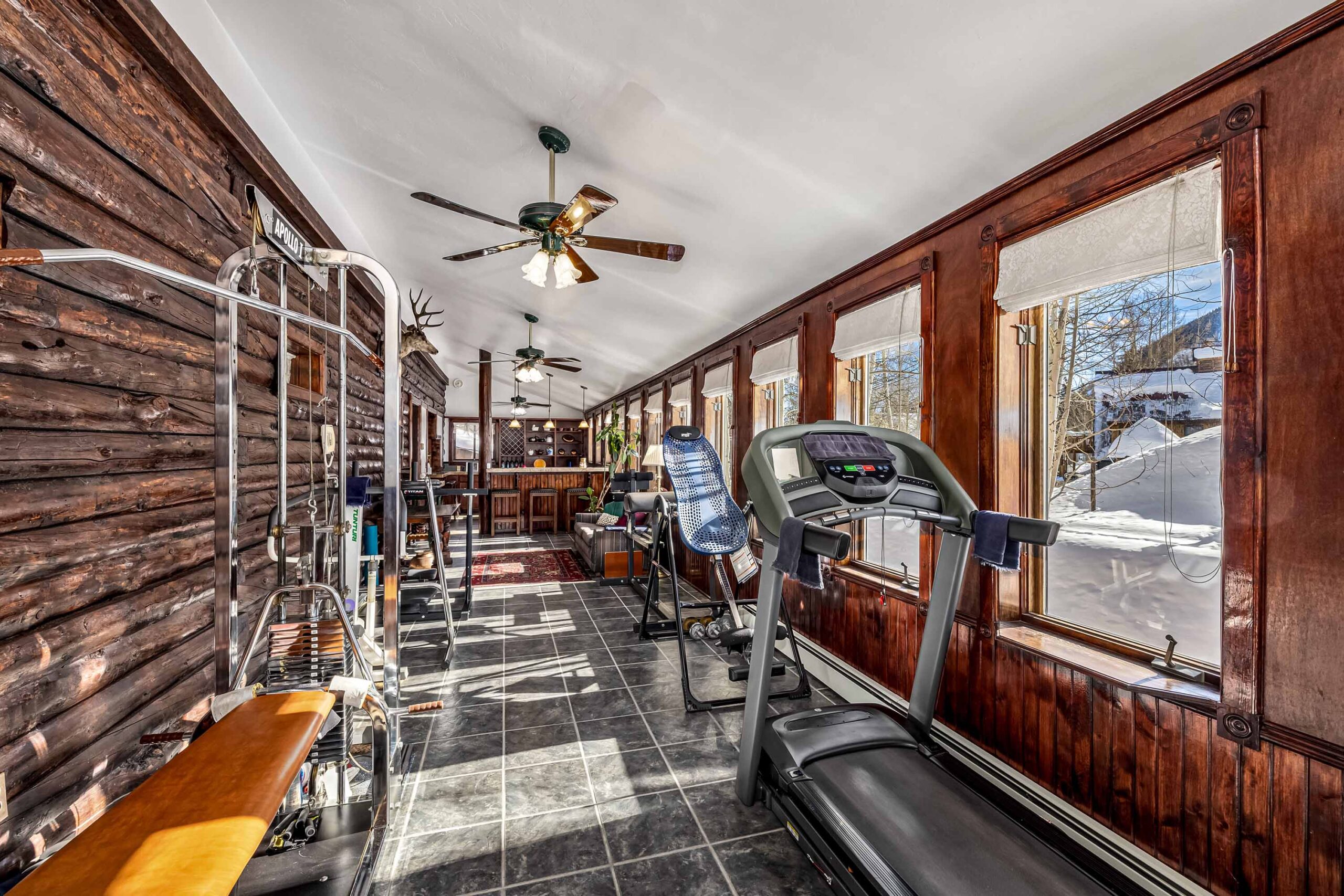 8 Gothic Avenue, Crested Butte, CO - Gym