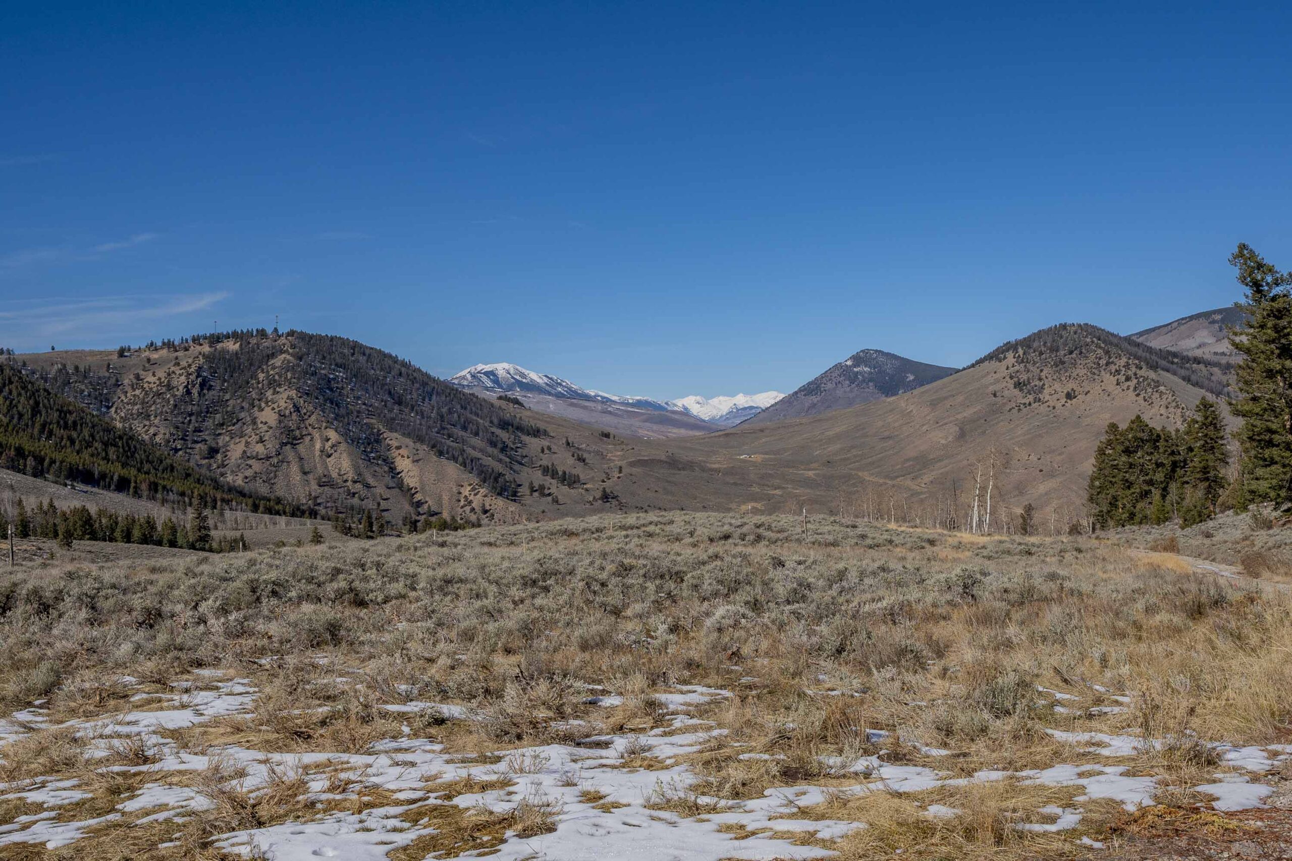 1220 Wilder Mountain Road, Almont, CO - Land View_