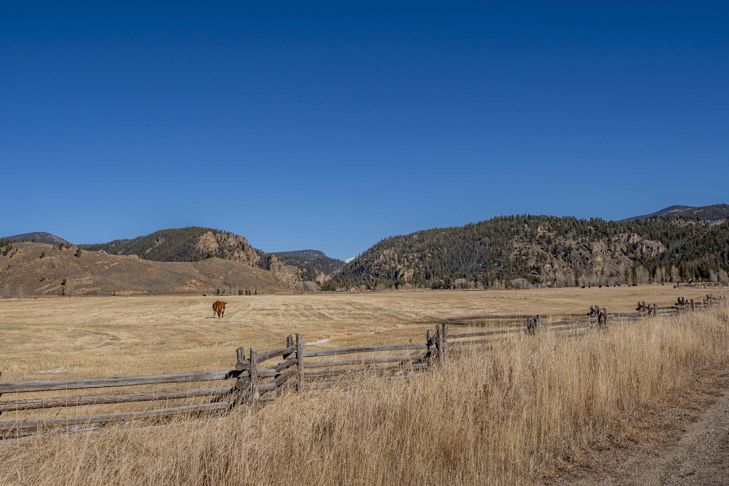 1220 Wilder Mountain Road, Almont, CO.jpg - Land