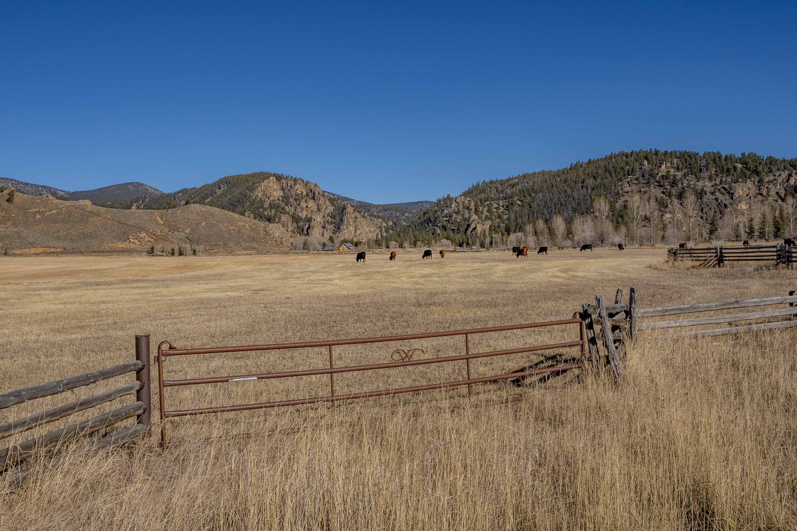 1220 Wilder Mountain Road, Almont, CO.jpg -Land