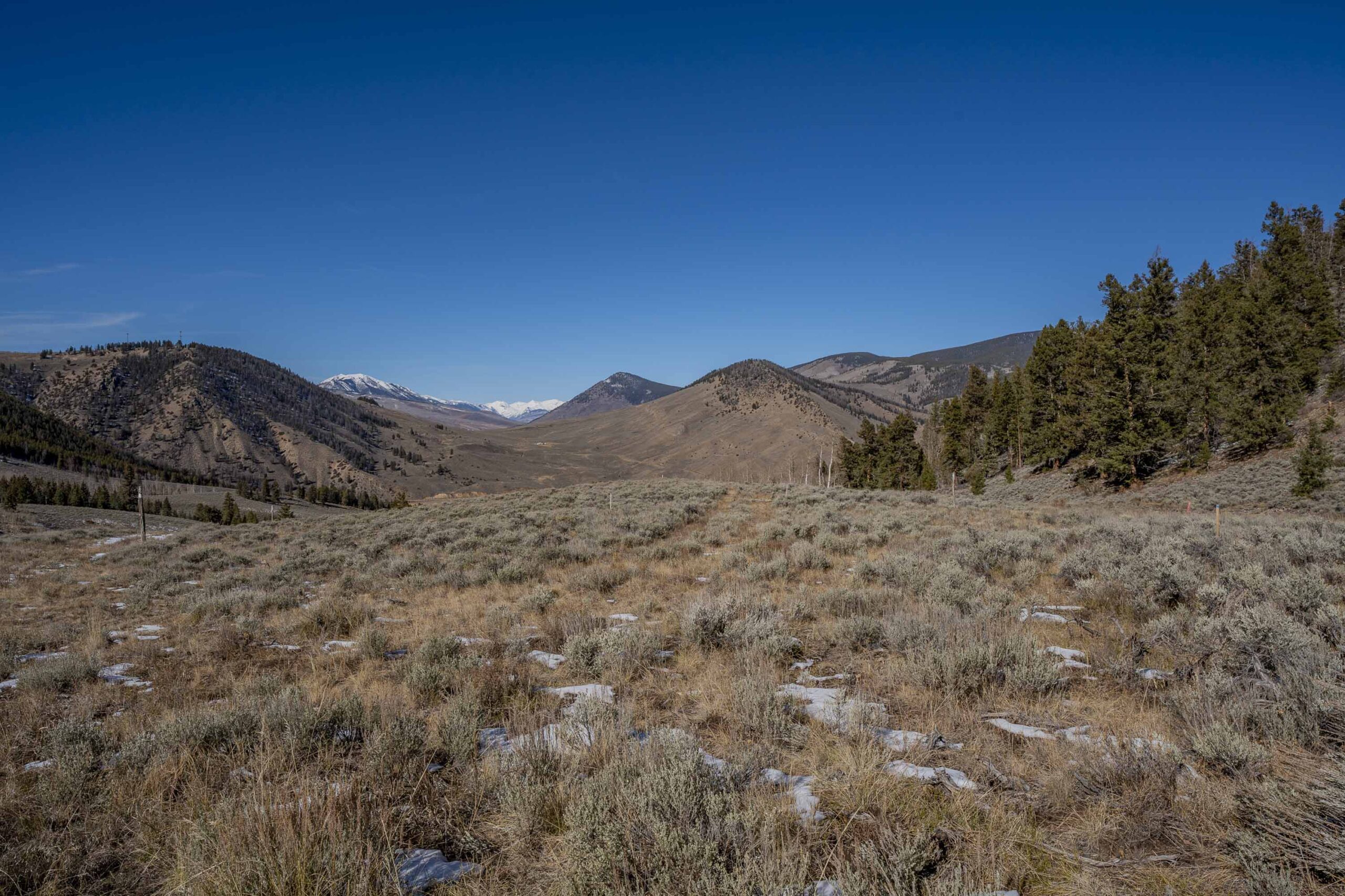 1220 Wilder Mountain Road, Almont, CO - Land View_