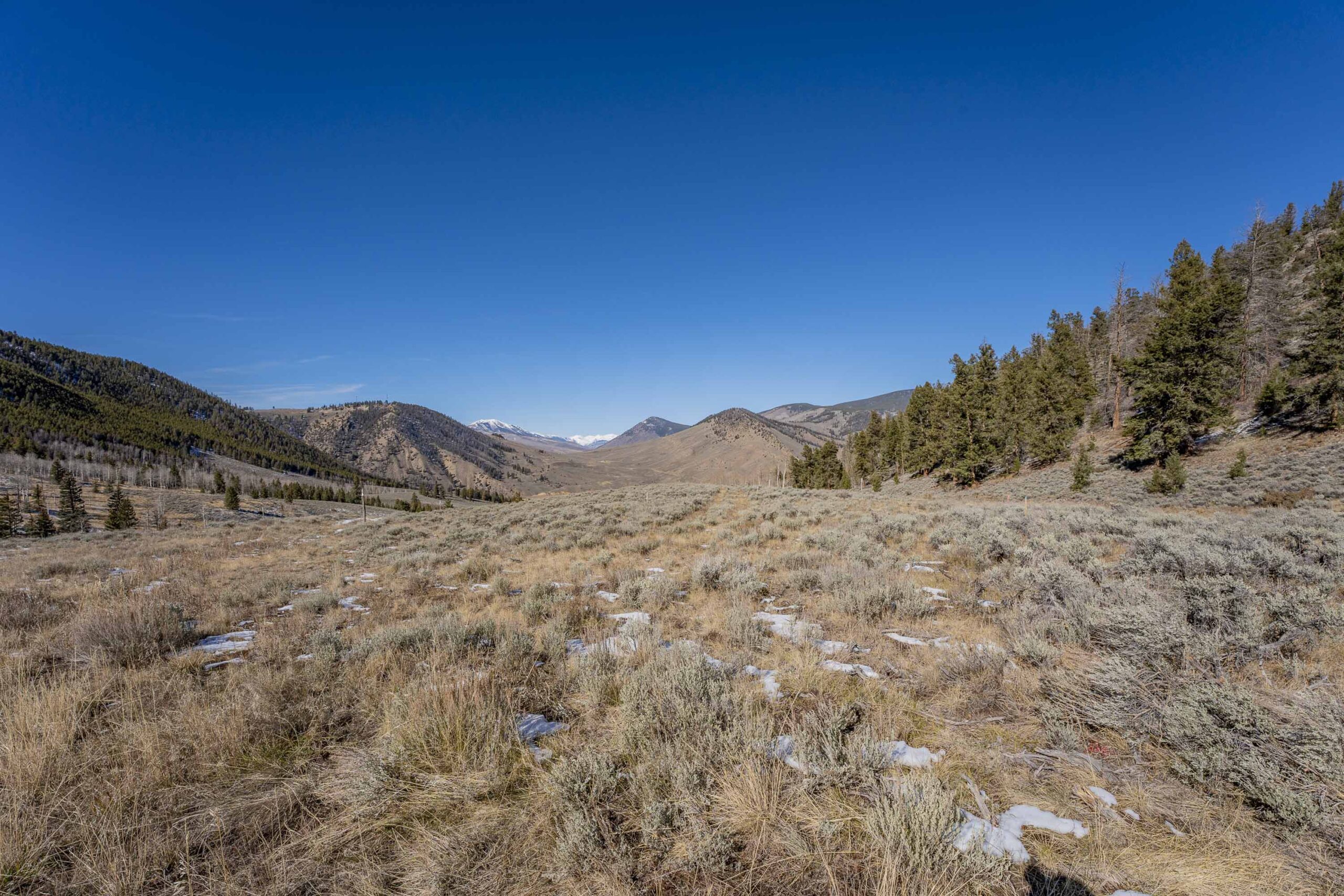 1220 Wilder Mountain Road, Almont, CO.jpg - Land