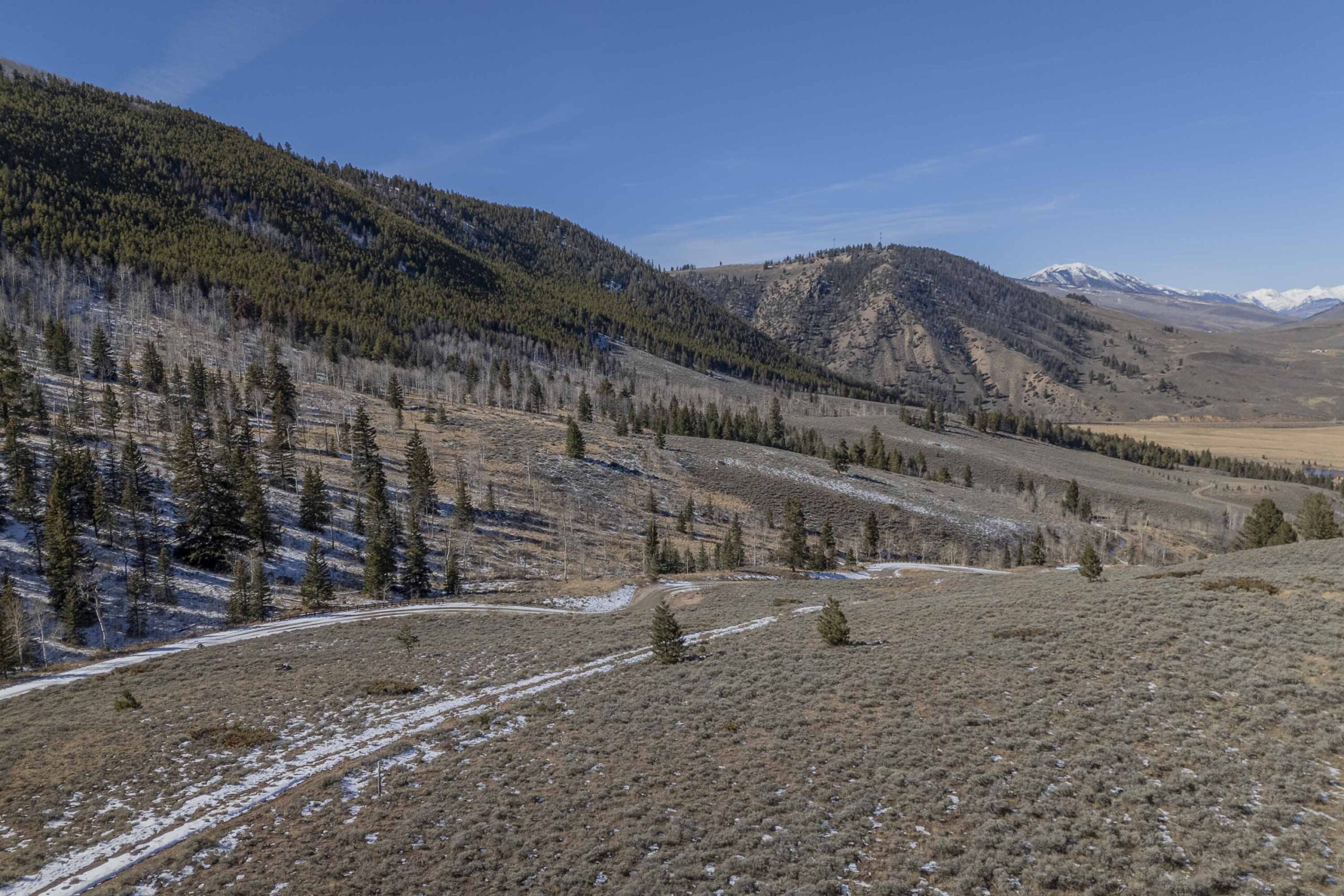 1220 Wilder Mountain Road, Almont, CO