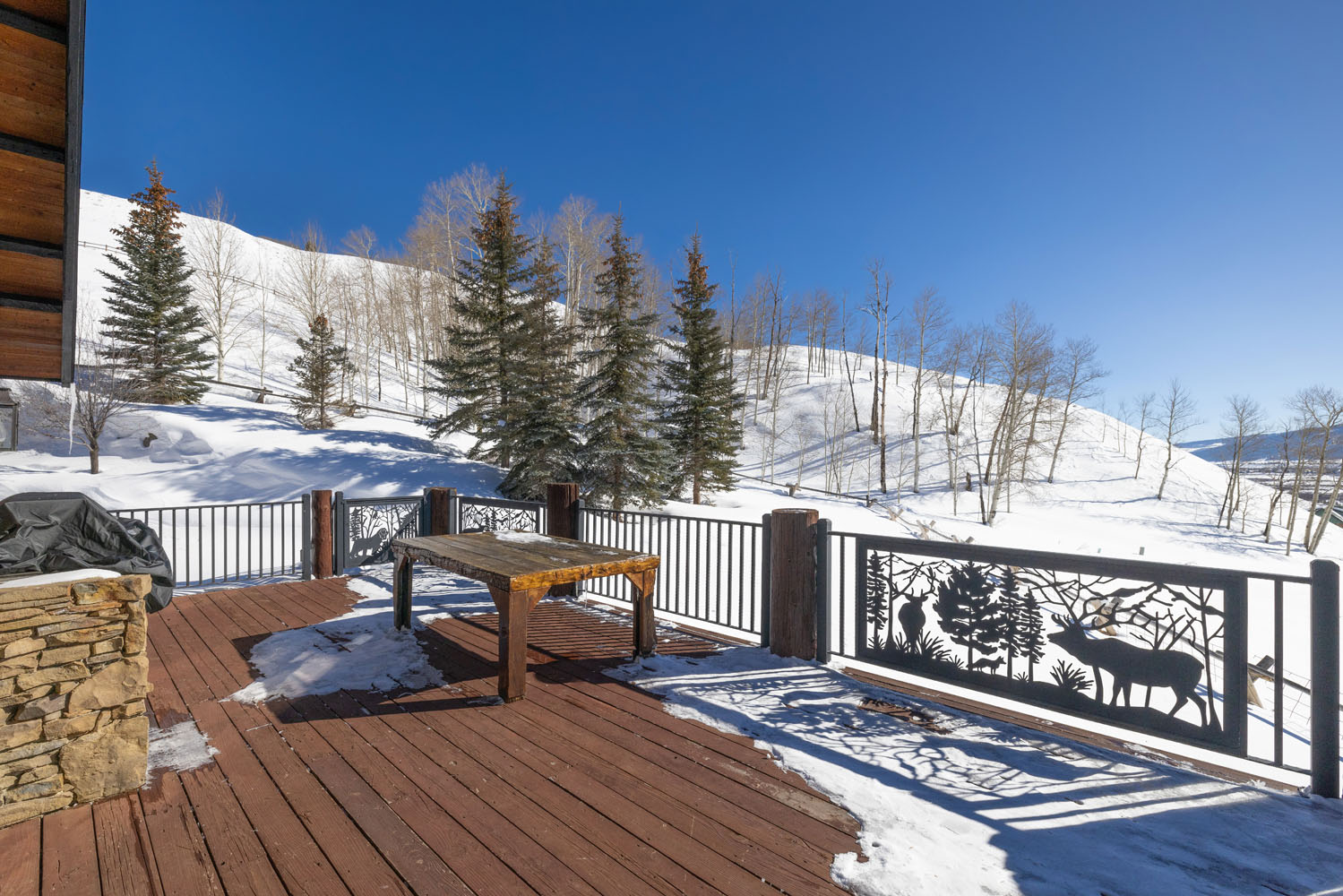 1294 County Road 734 Crested Butte, CO - Balcony