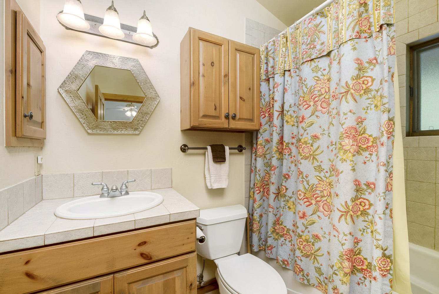 24 Hunter Hill Road #13 Mt. Crested Butte, CO - Bathroom