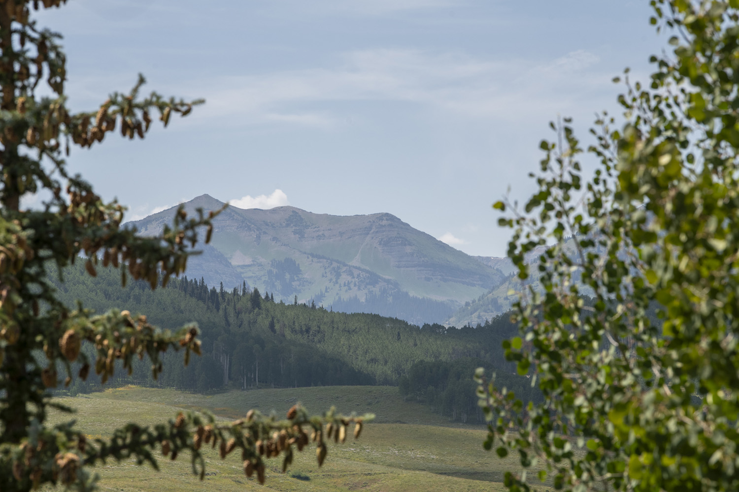 24 Hunter Hill Road #13 Mt. Crested Butte, CO - Mountain View